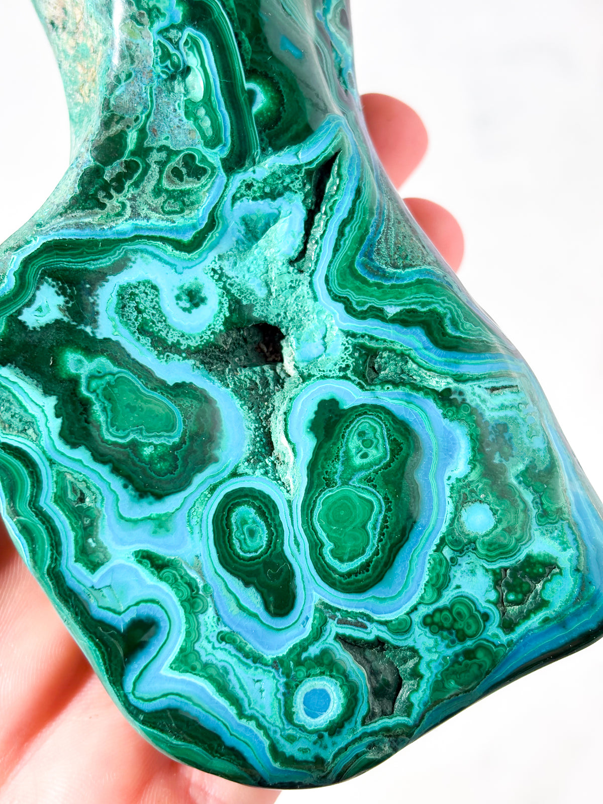 Malacolla Poleret Freeform (Nr. 5)