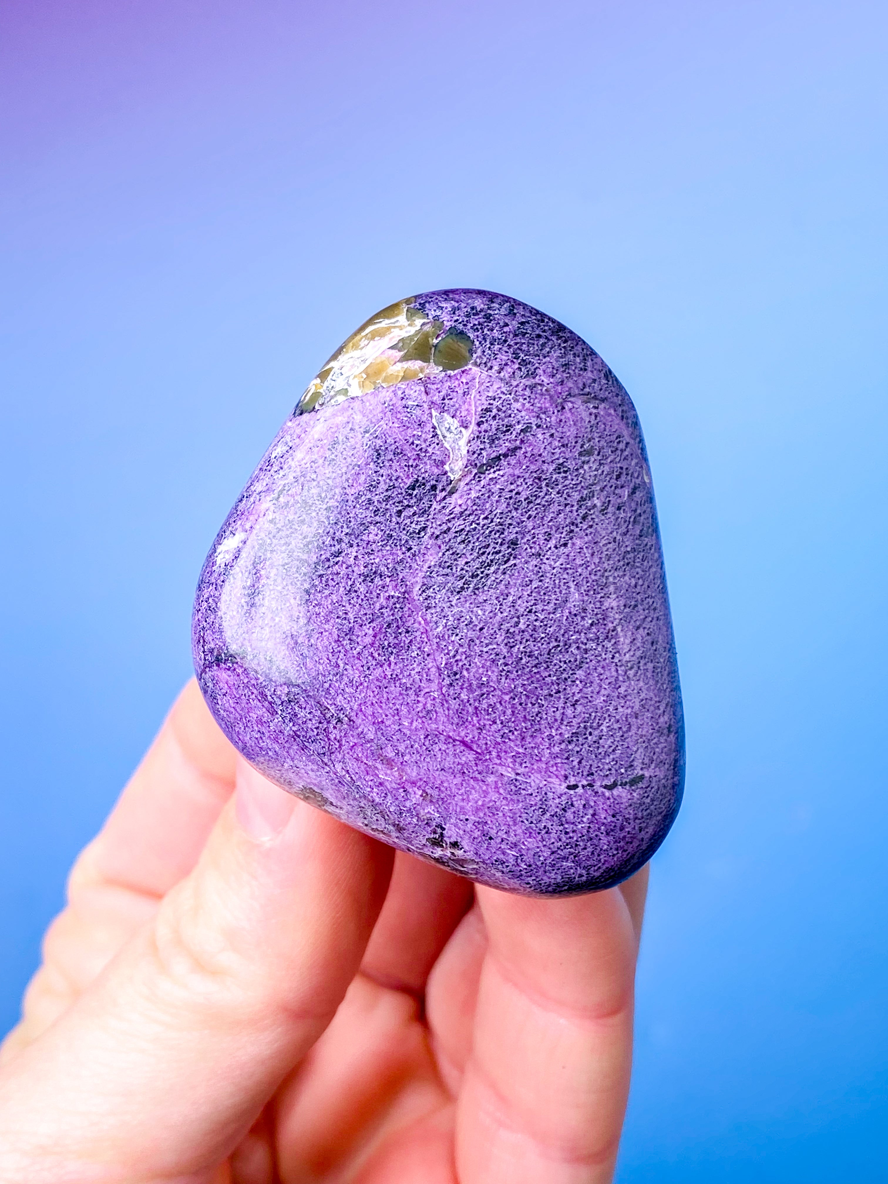 Stichtit Palmsten (nr 1) 