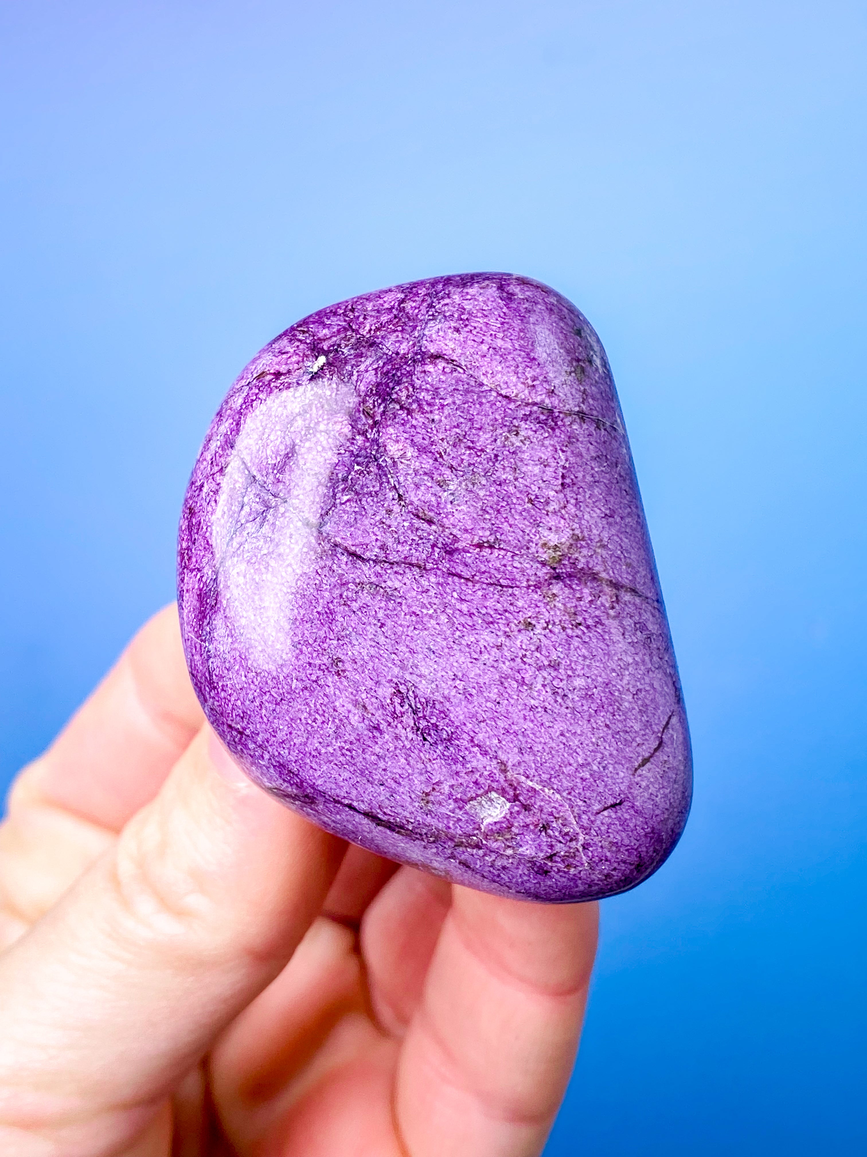 Stichtit Palmsten (nr 2) 