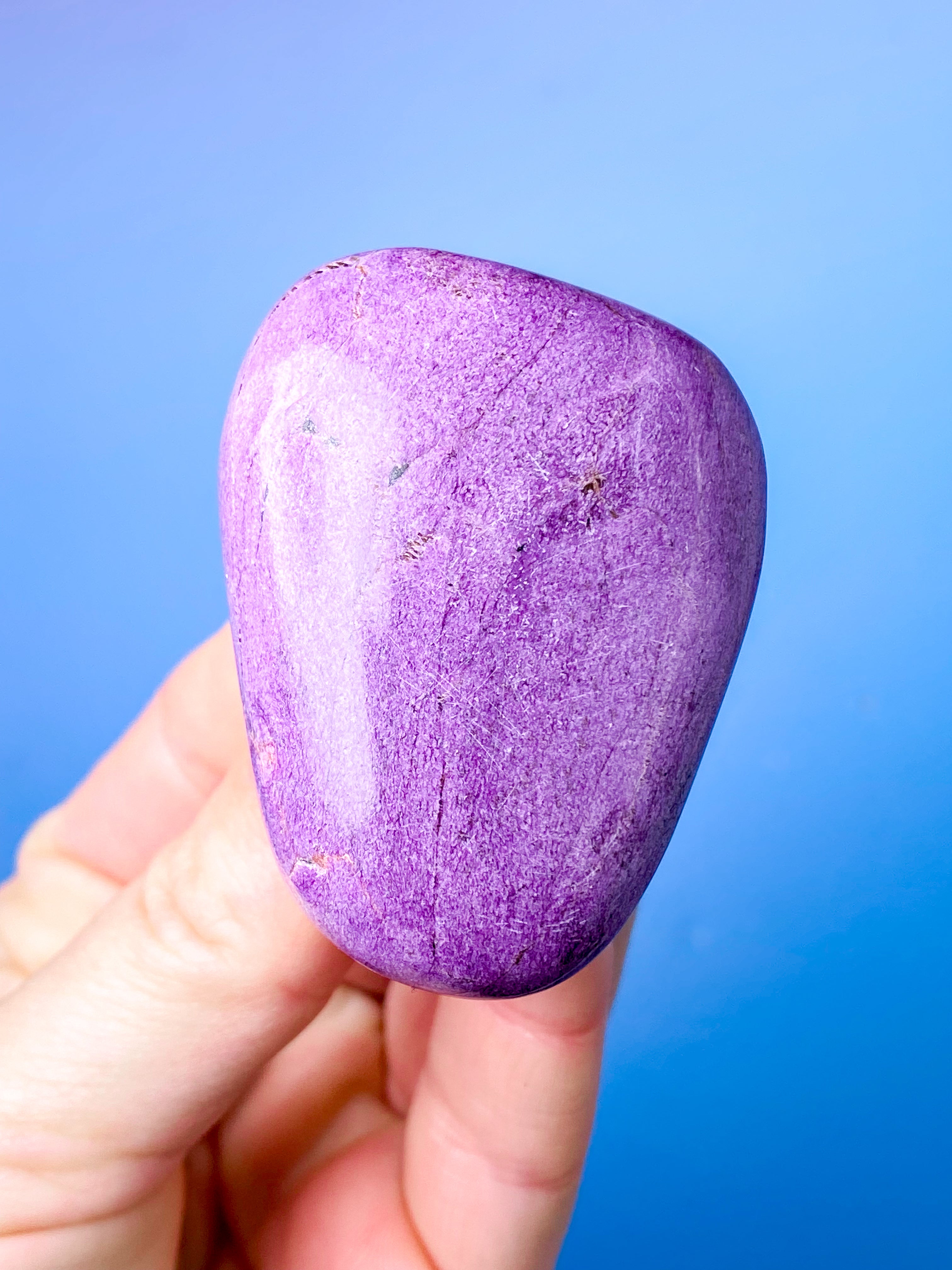 Stichtit Palmsten (nr 3) 