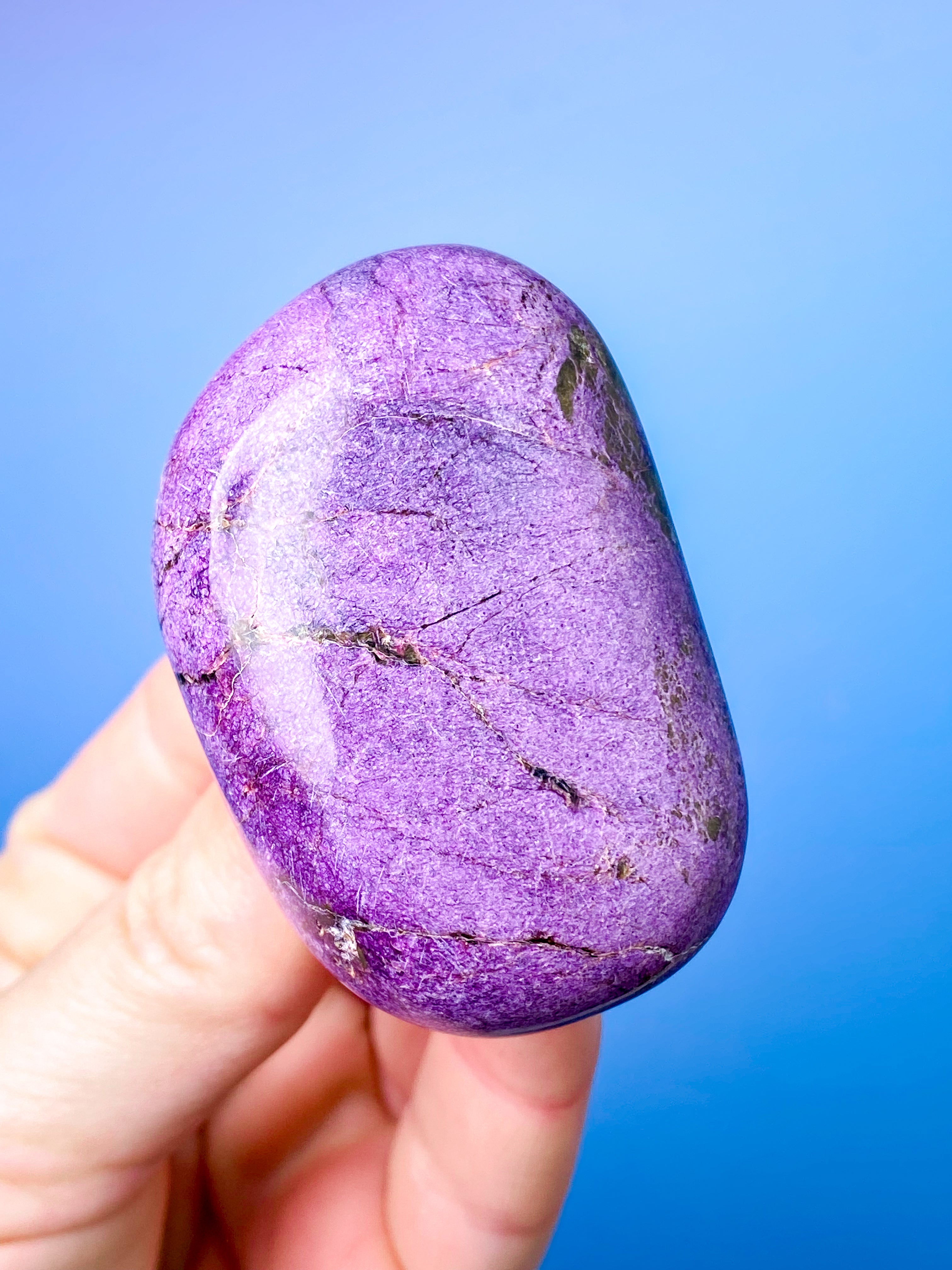 Stichtit Palmsten (nr 4) 