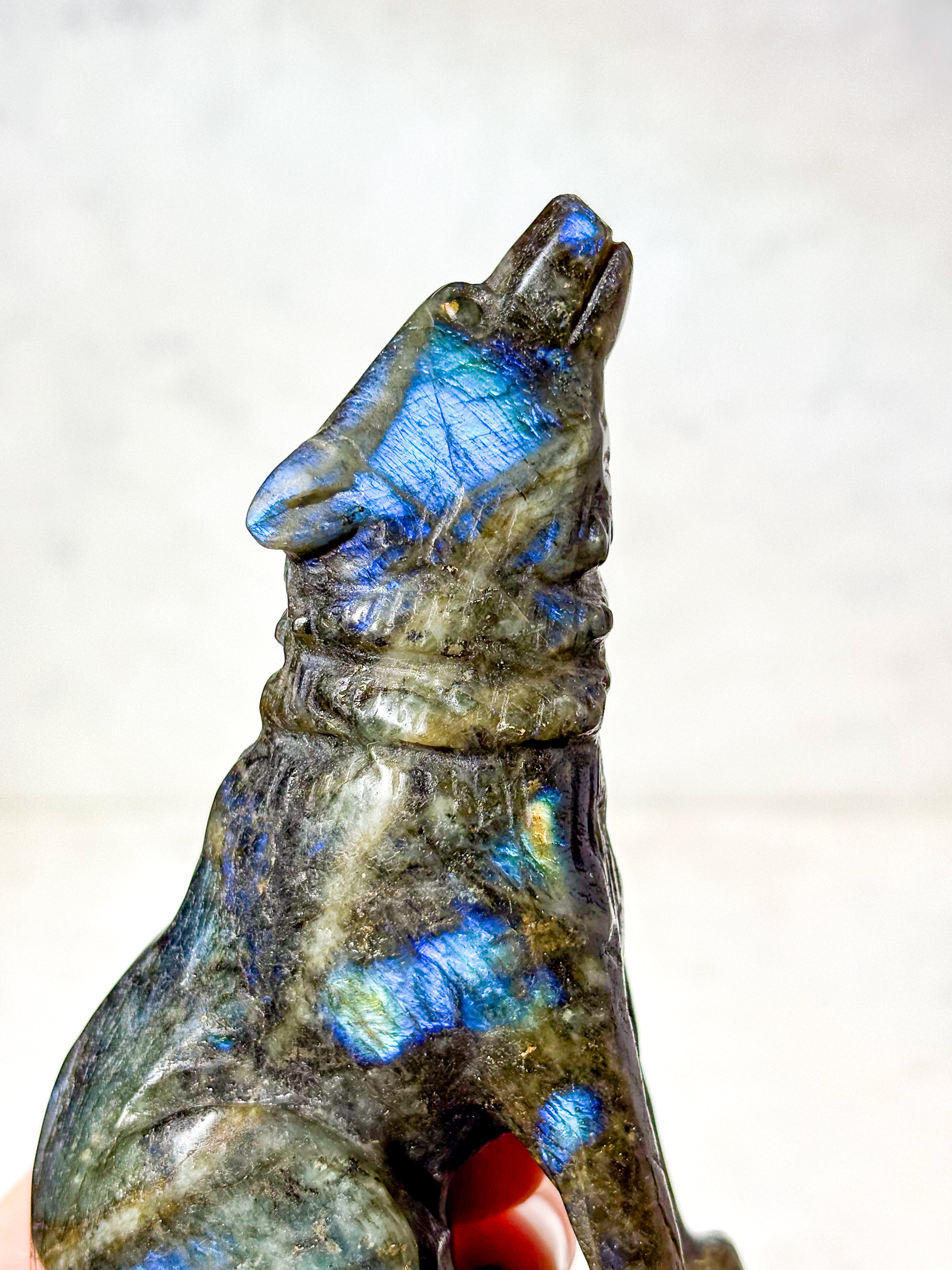 Labradorit Ulv (Nr. 4)