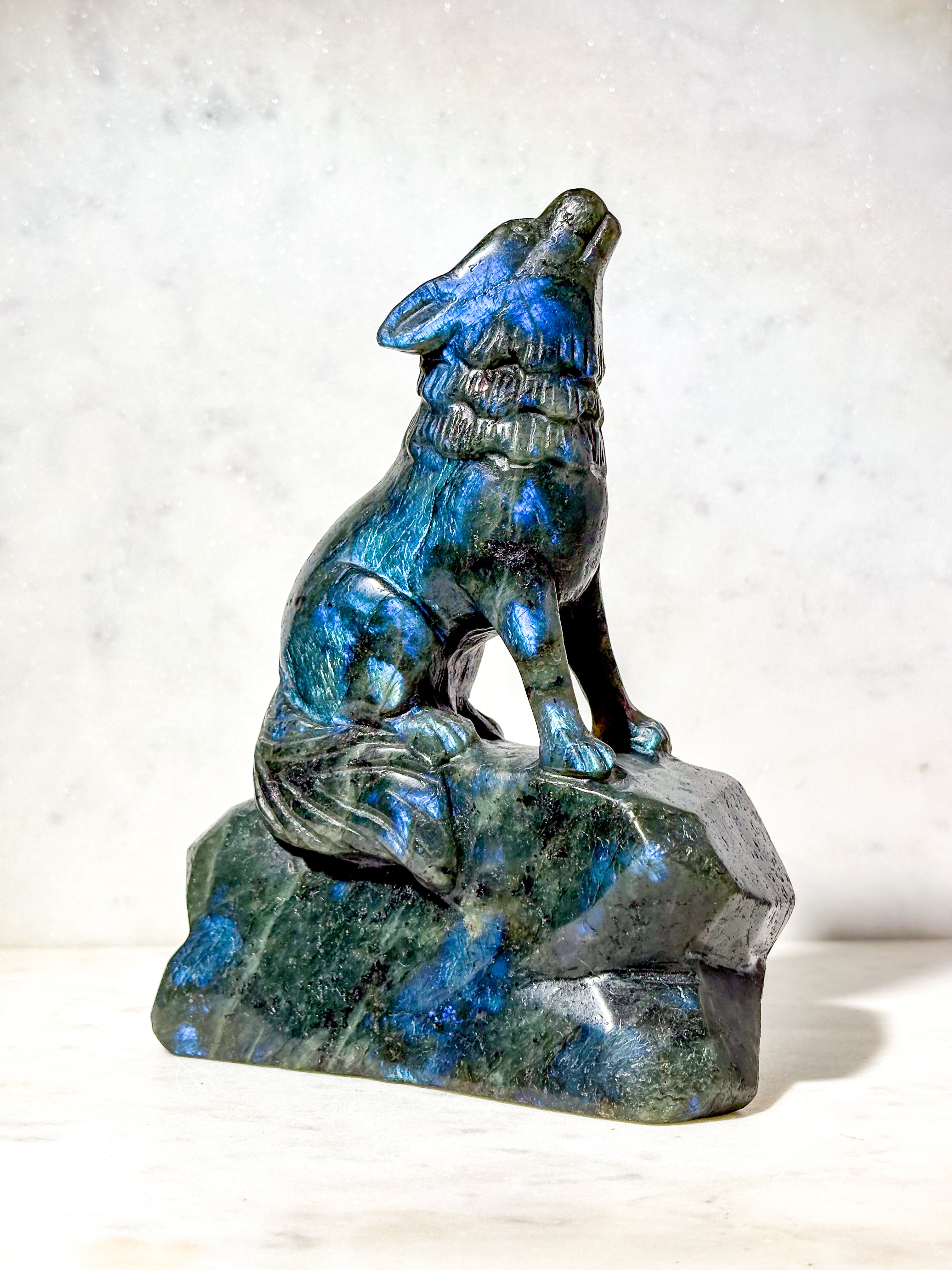 Labradorit Ulv (Nr. 7)