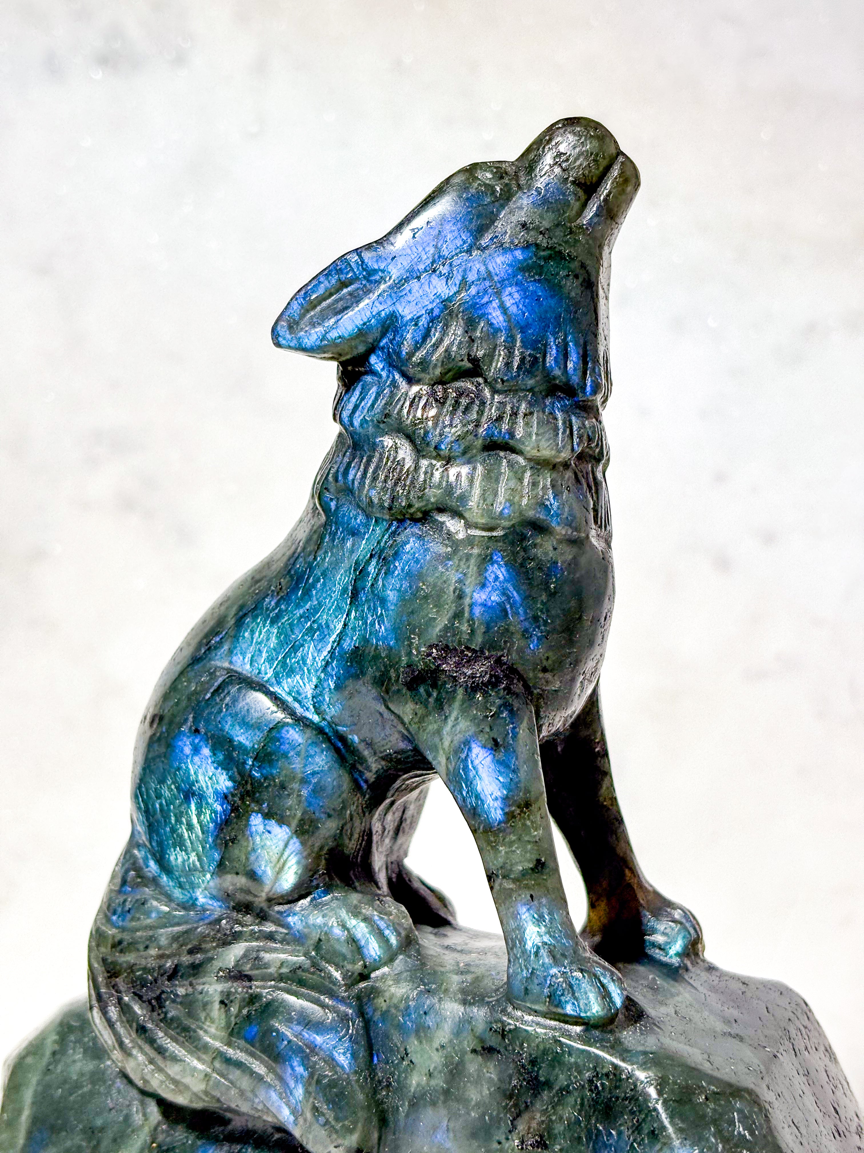 Labradorit Ulv (Nr. 7)