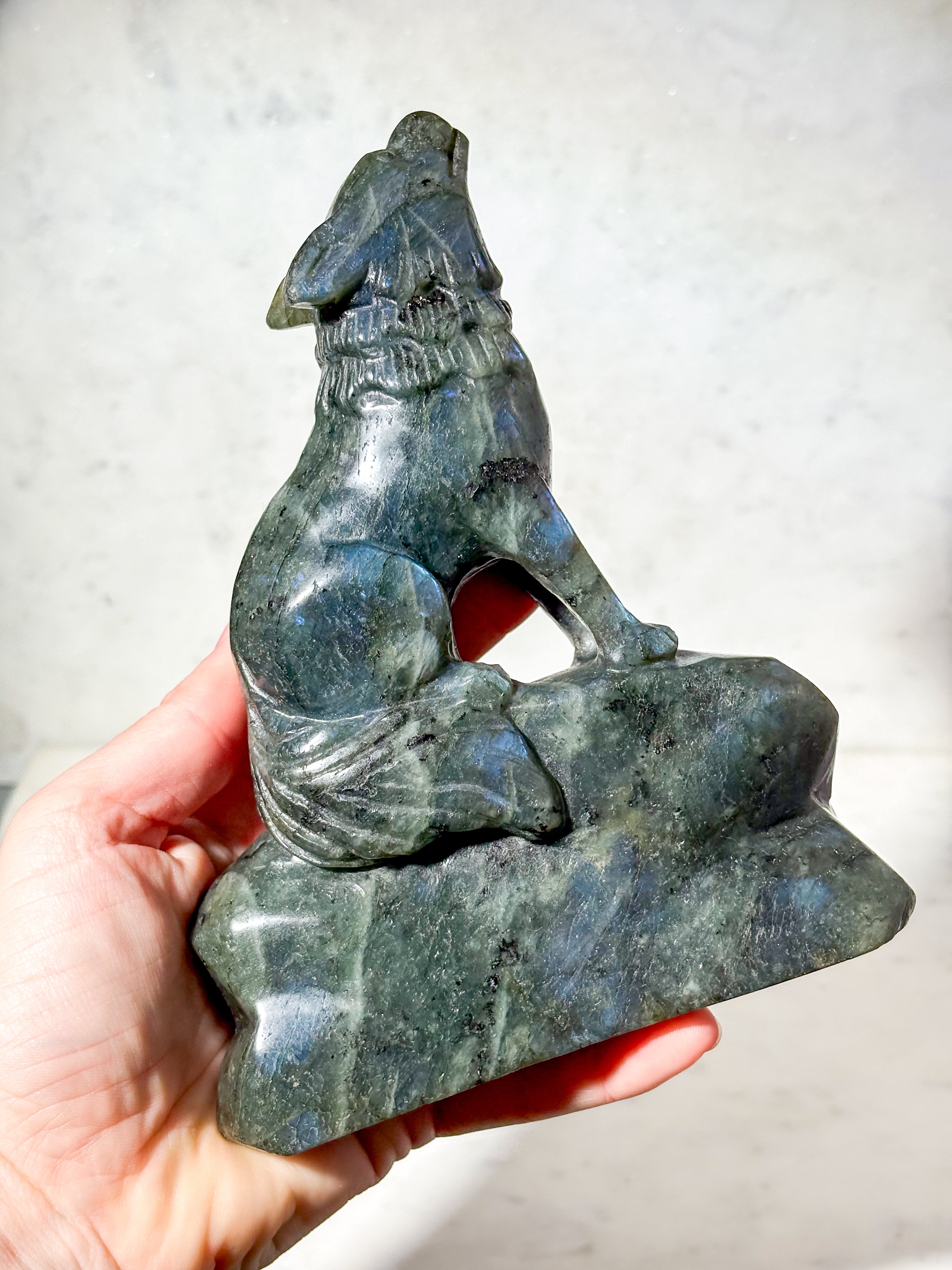 Labradorit Ulv (Nr. 7)