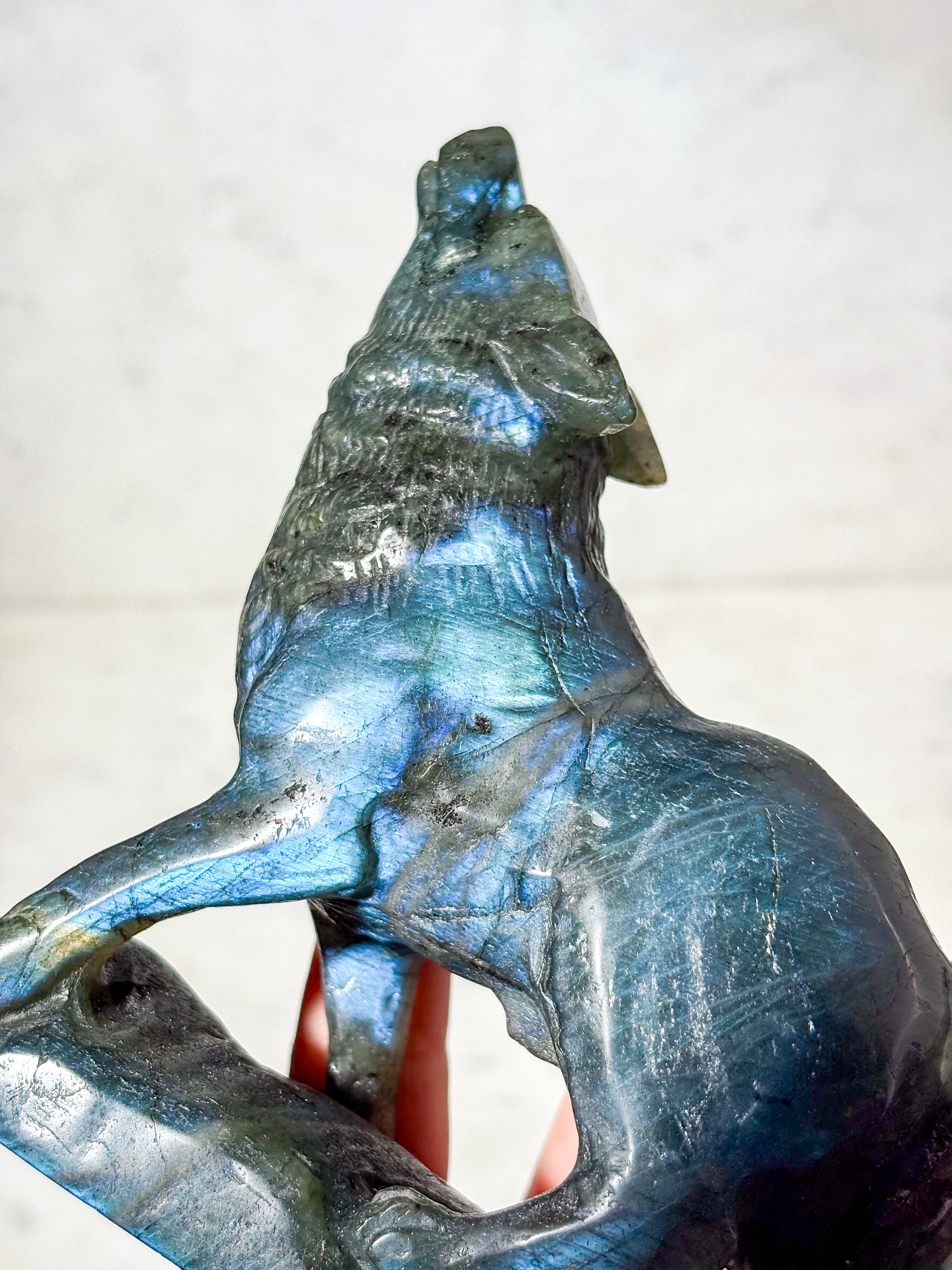 Labradorit Ulv (Nr. 11)