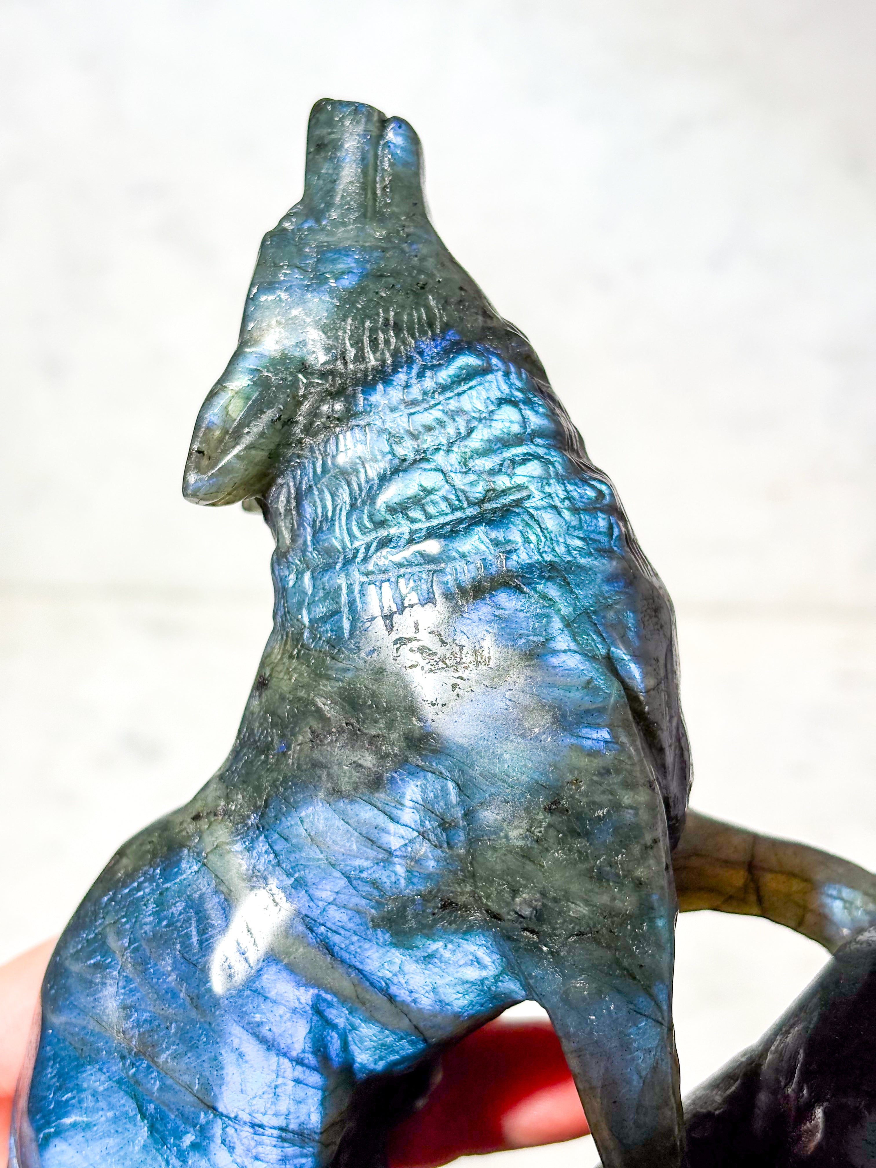 Labradorit Ulv (Nr. 11)