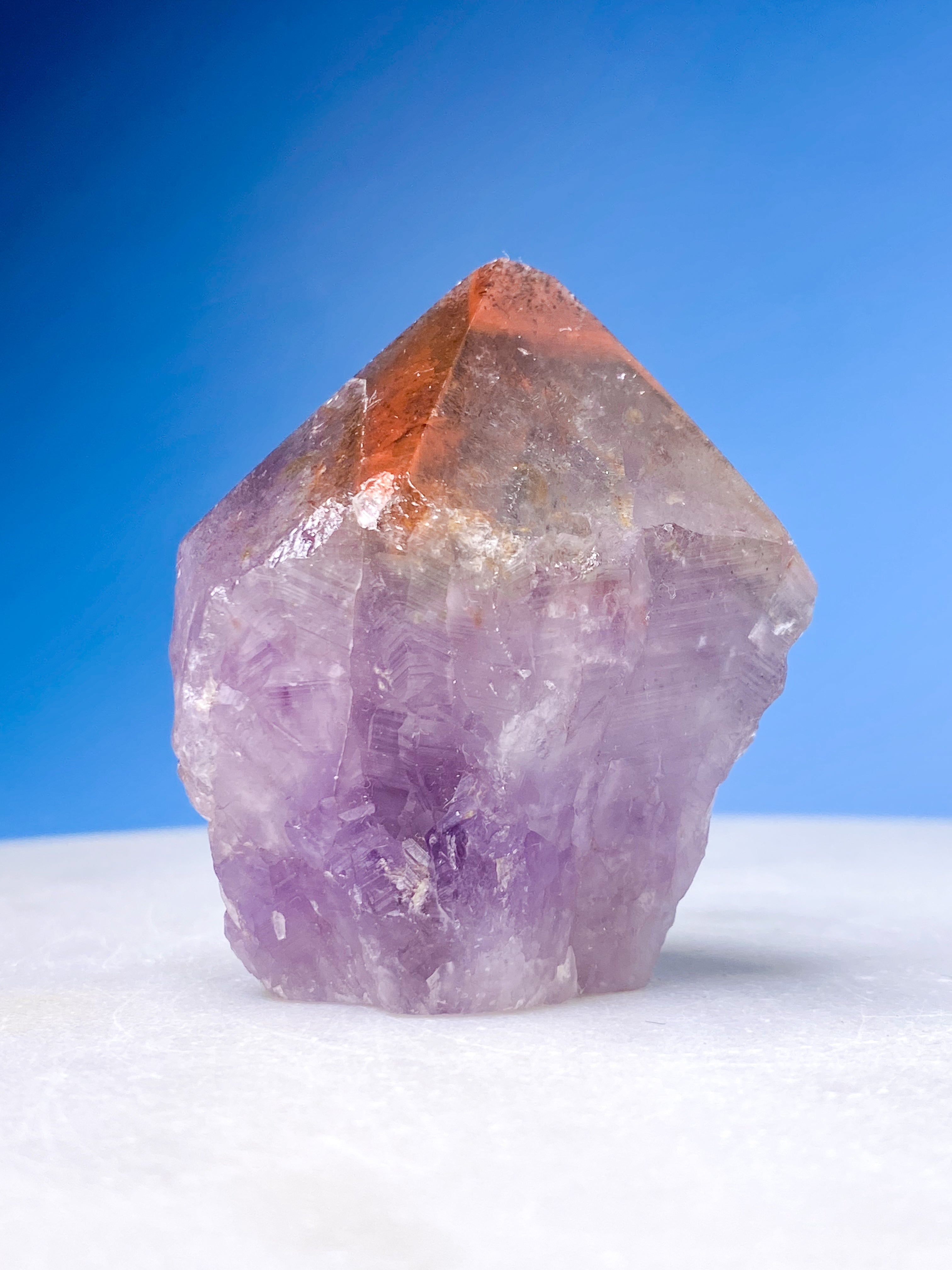 Super Seven Stående Spids (Nr. 5)