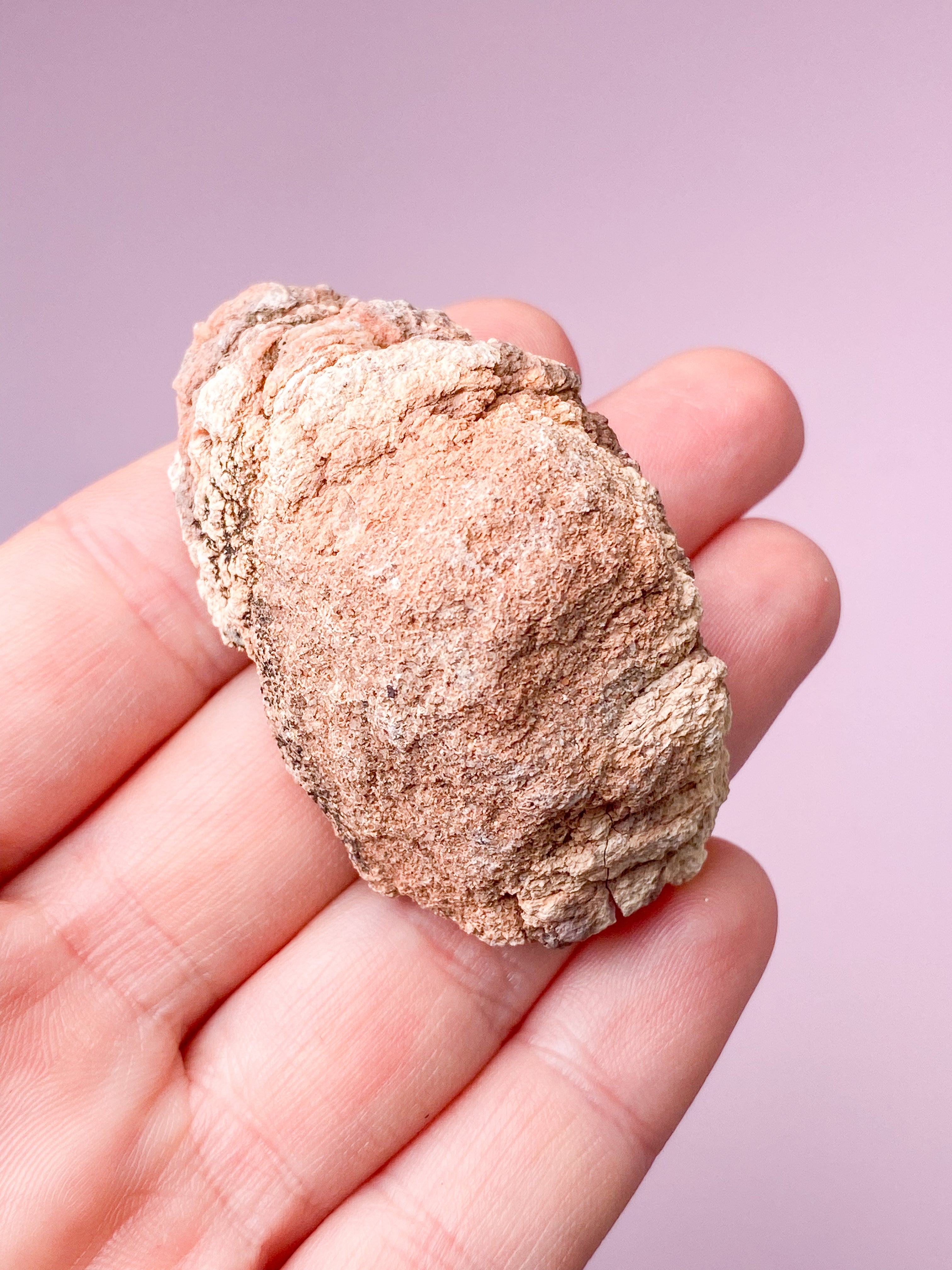 Pink Ametyst Geode (Nr. 31)