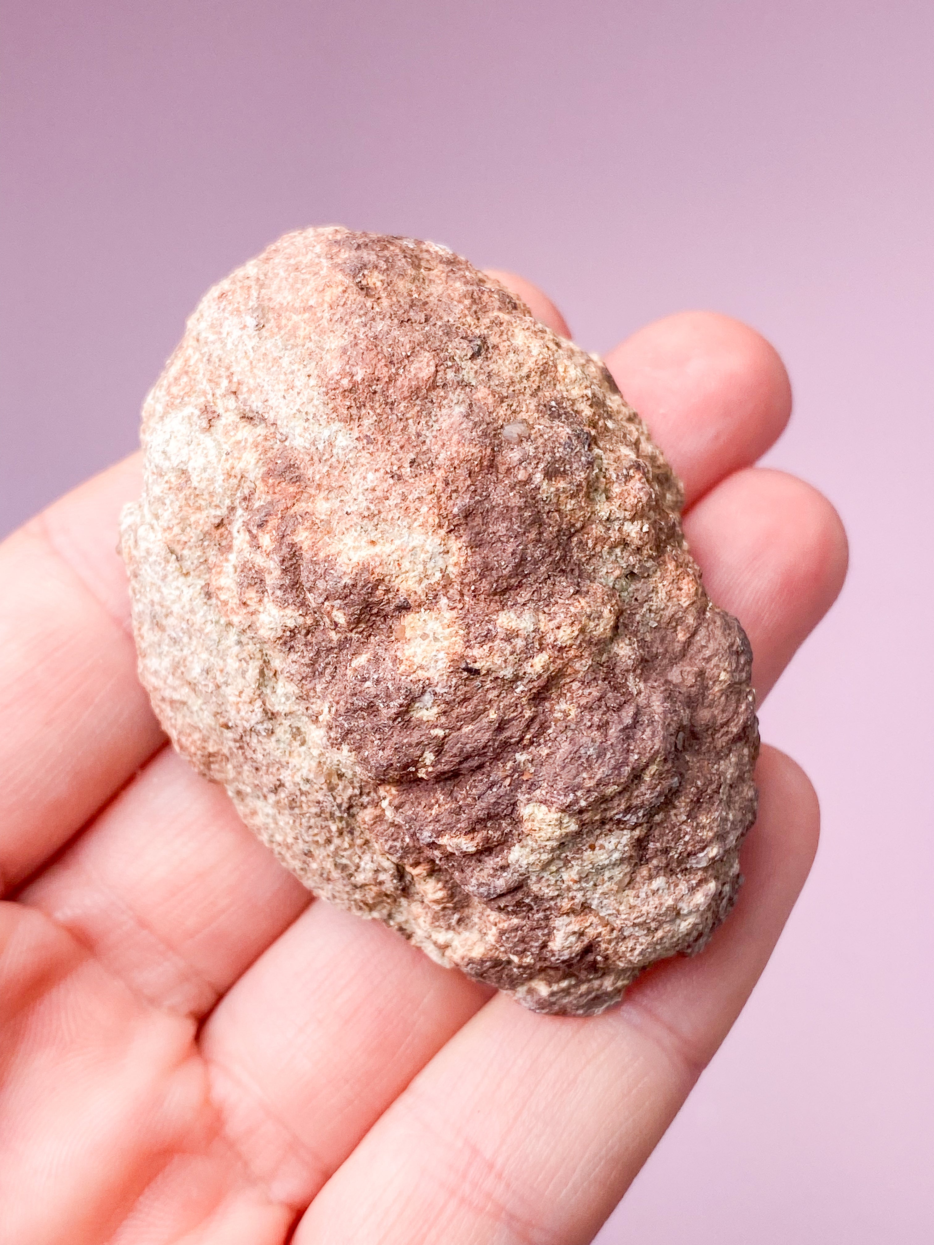 Pink Ametyst Geode (Nr. 36)
