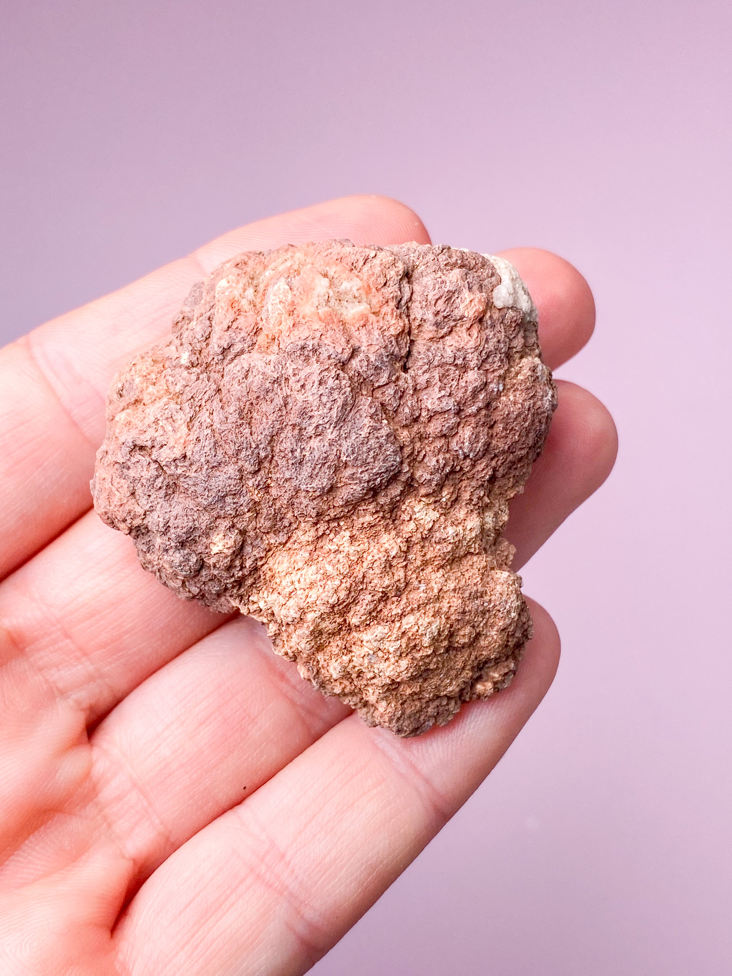 Pink Ametyst Geode (Nr. 49)