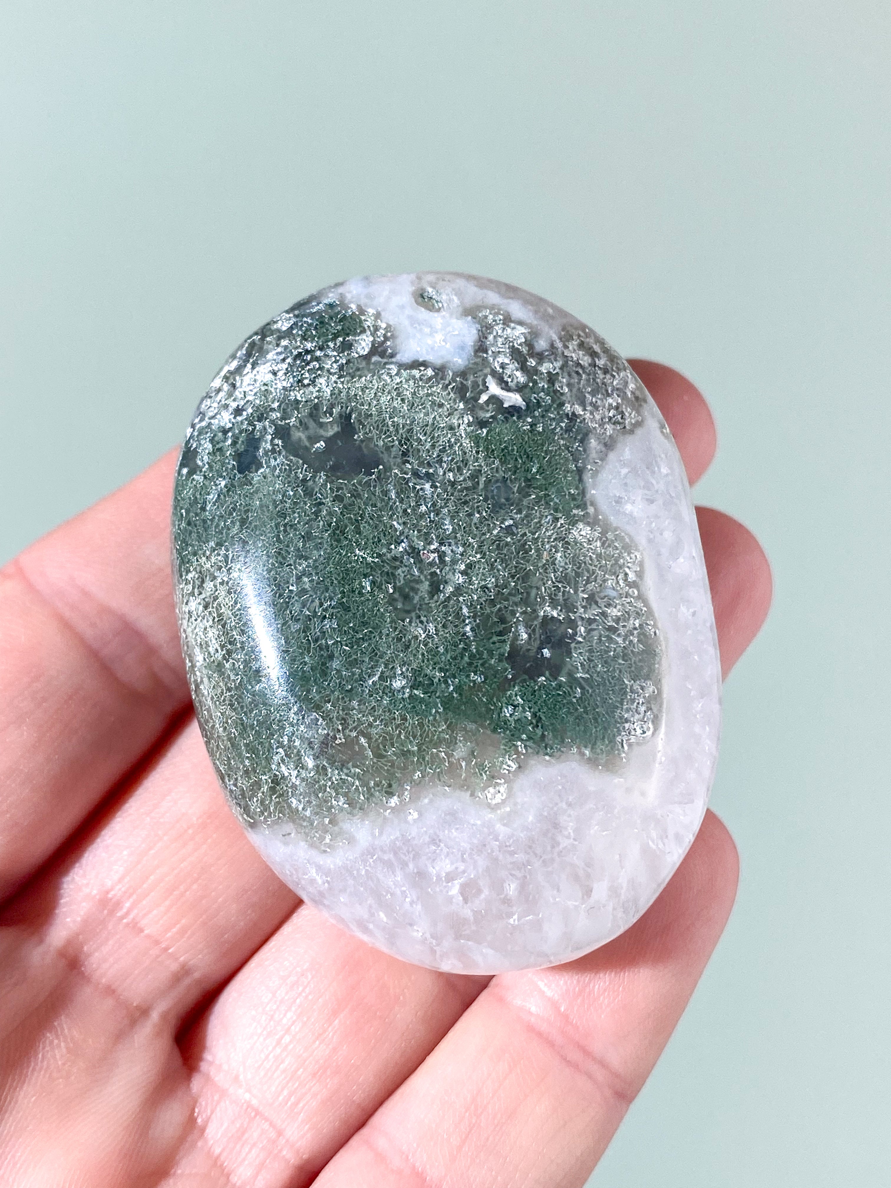 Mos Agat Palmstone (Nr. 11)