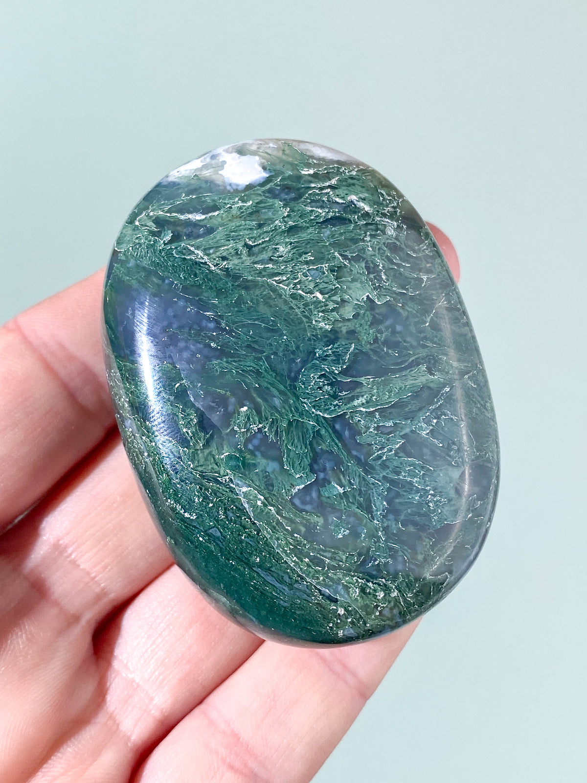 Mos Agat Palmstone (Nr. 12)