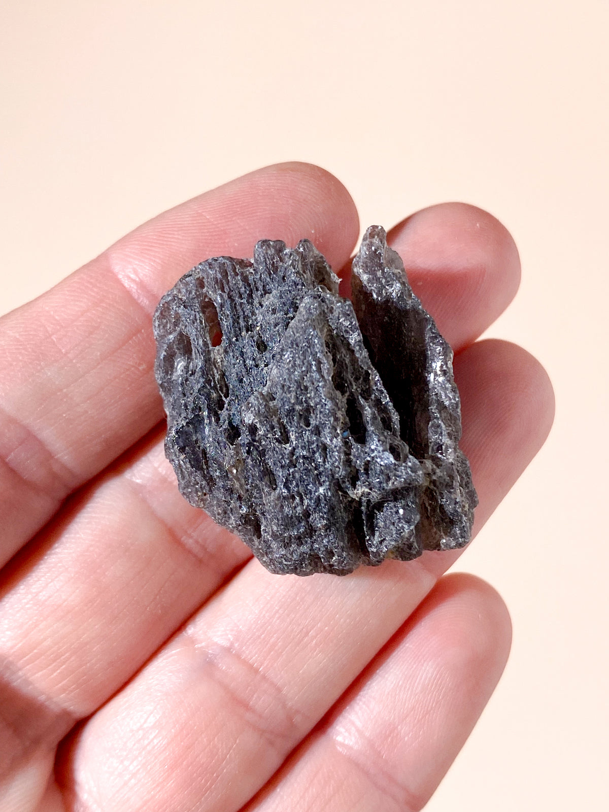 Agni Manitit (Nr. 7)