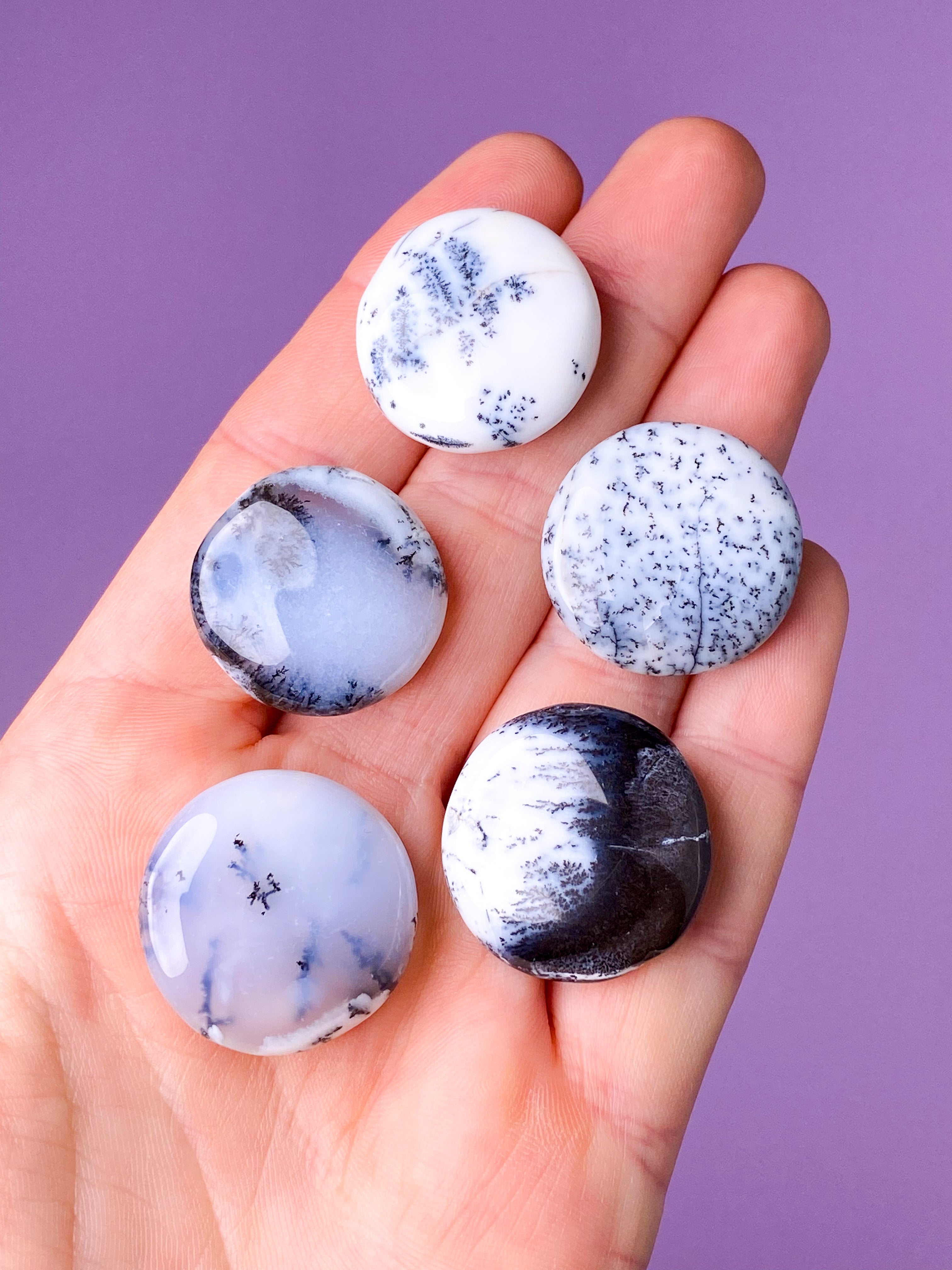 Dendrit Opal Mini Disc (Flad Poleret Lommesten)
