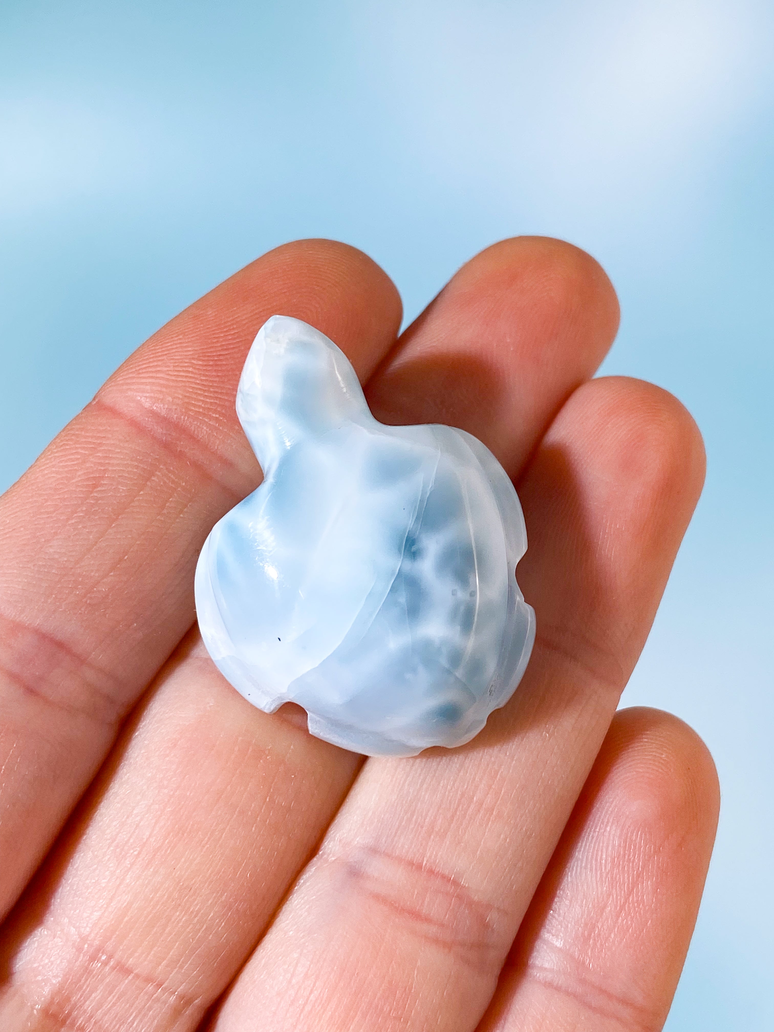 Larimar Skildpadde (Nr. 1)