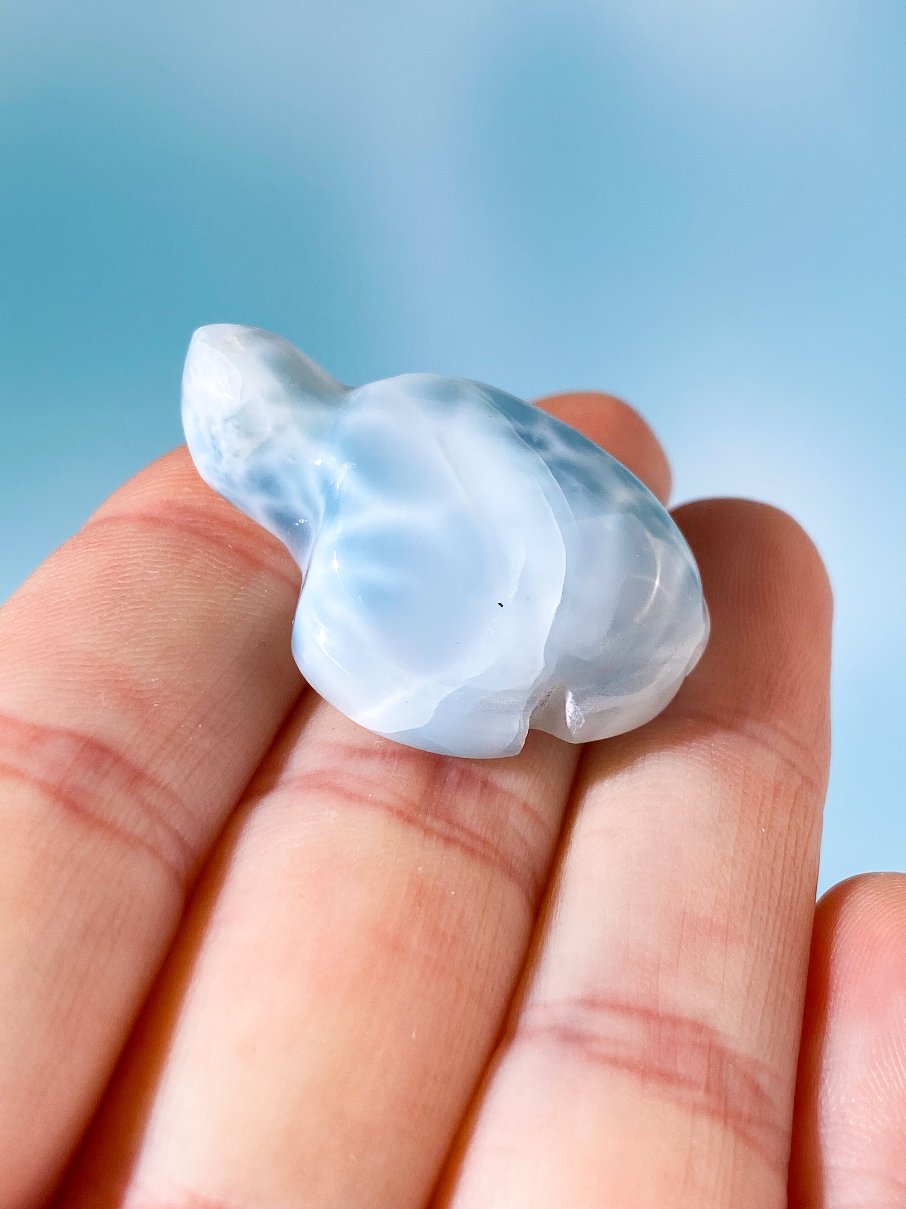 Larimar Skildpadde (Nr. 1)