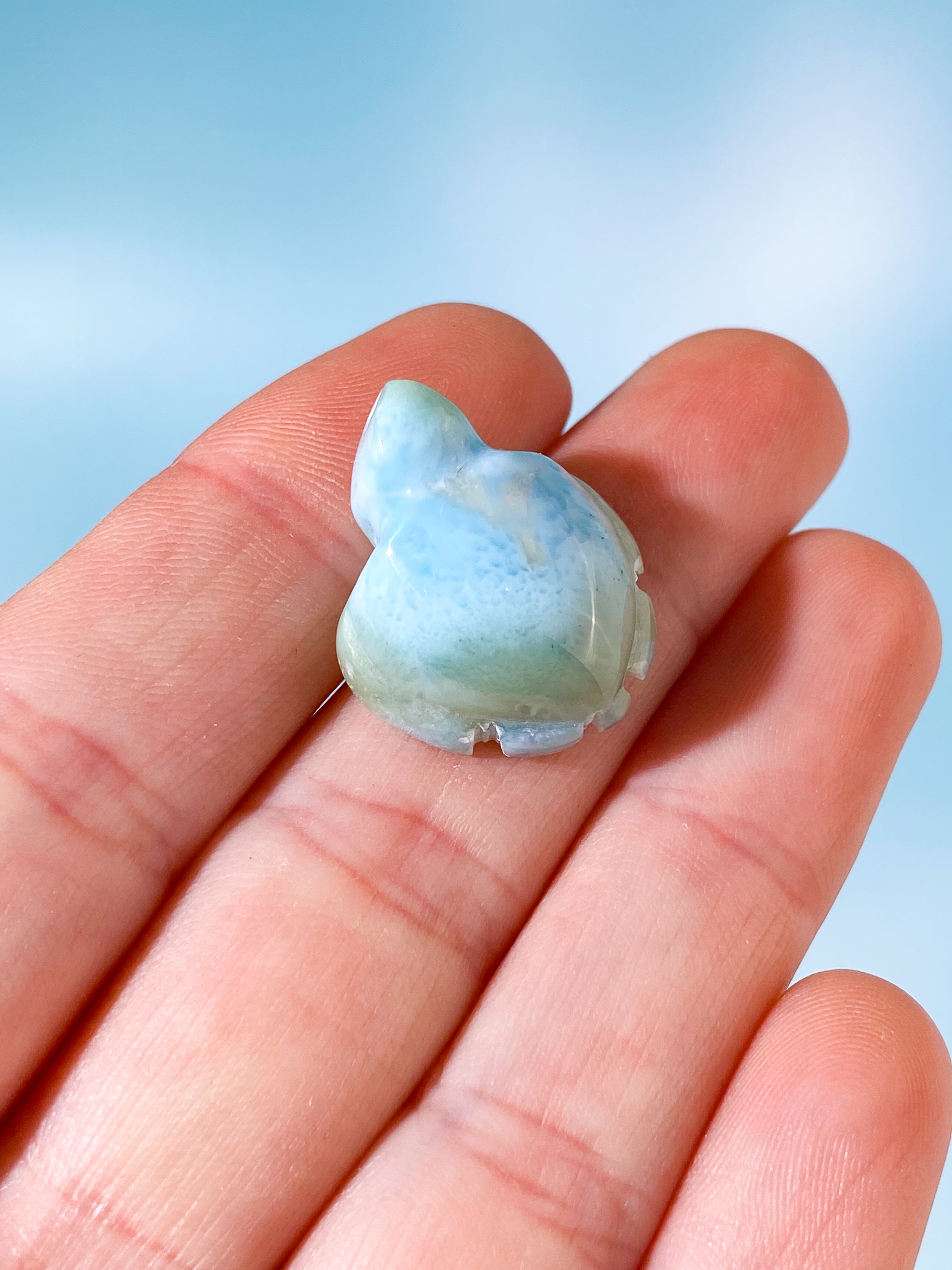 Larimar Skildpadde (Nr. 2)