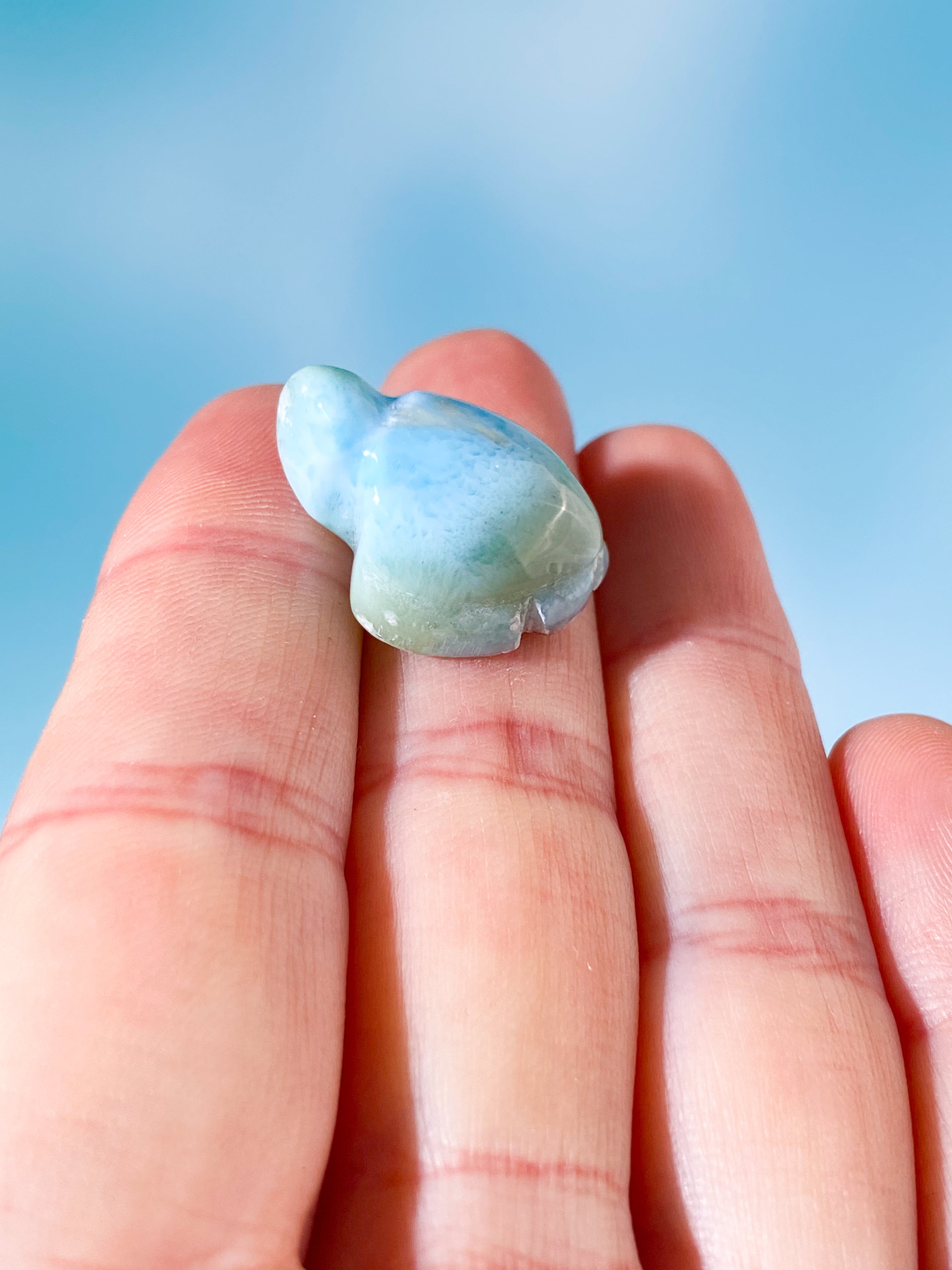 Larimar Skildpadde (Nr. 2)