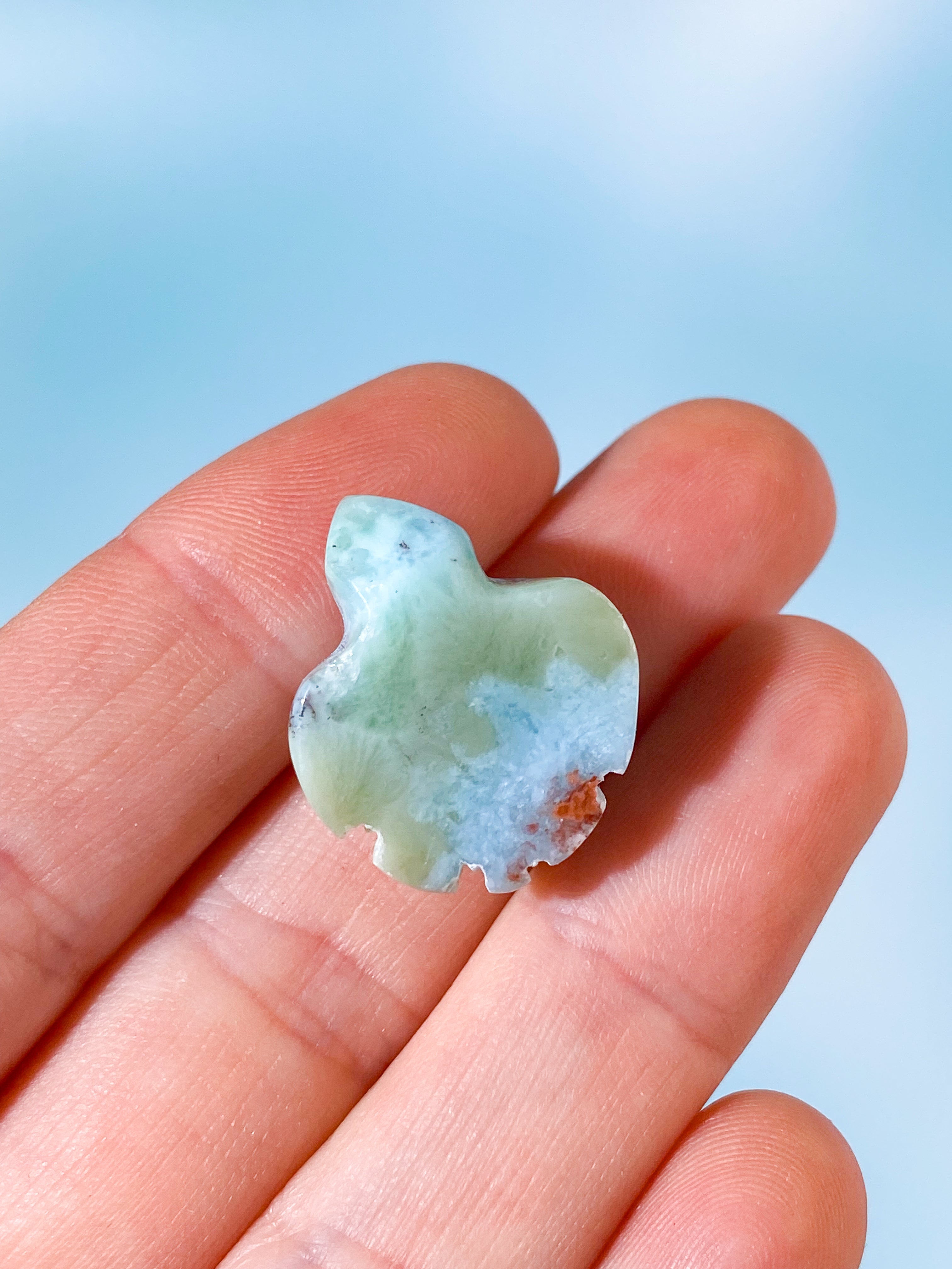 Larimar Skildpadde (Nr. 2)