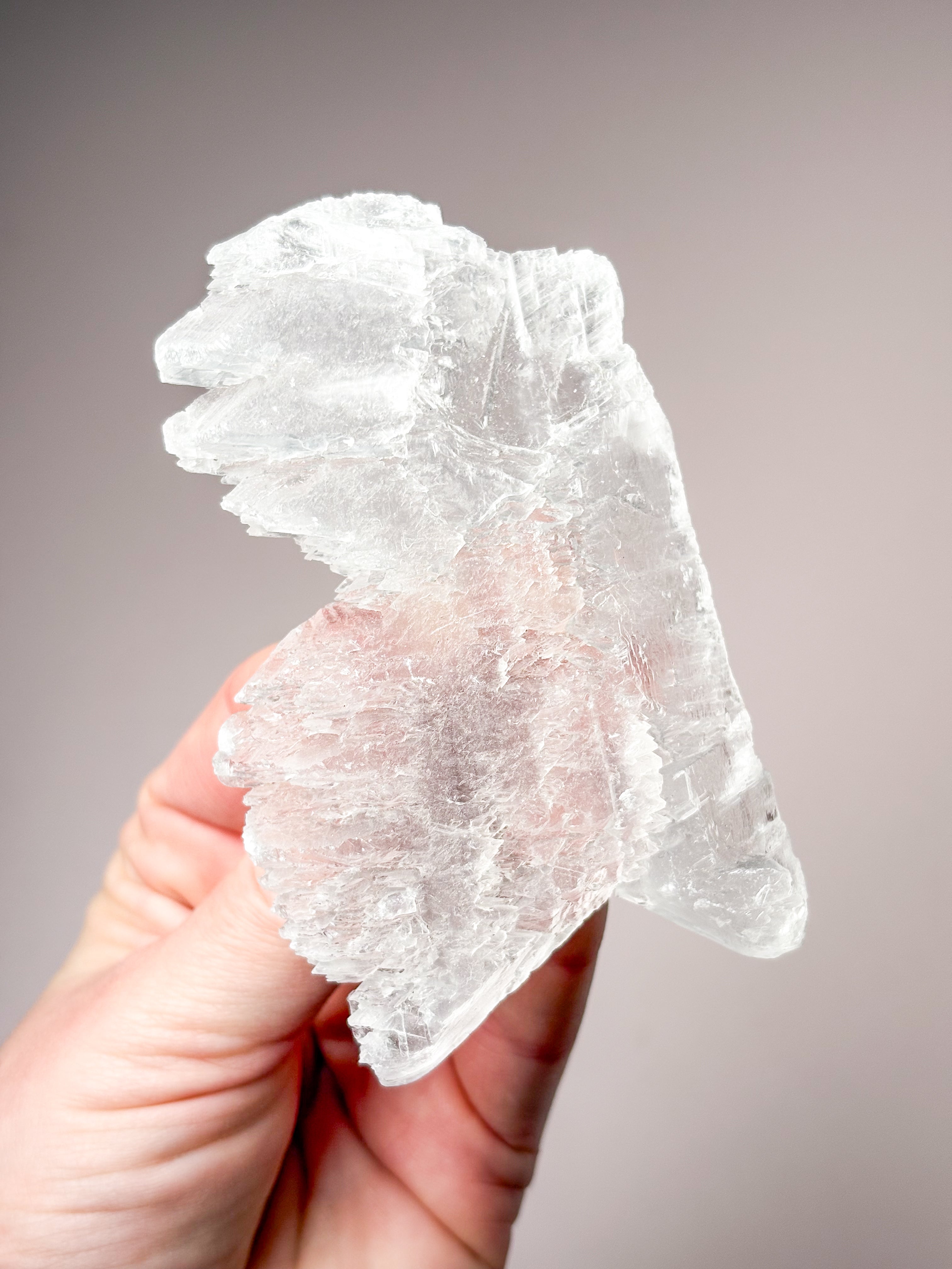 Fishtail/Angels Wing Selenit (Nr. 14) Eksklusiv Kvalitet