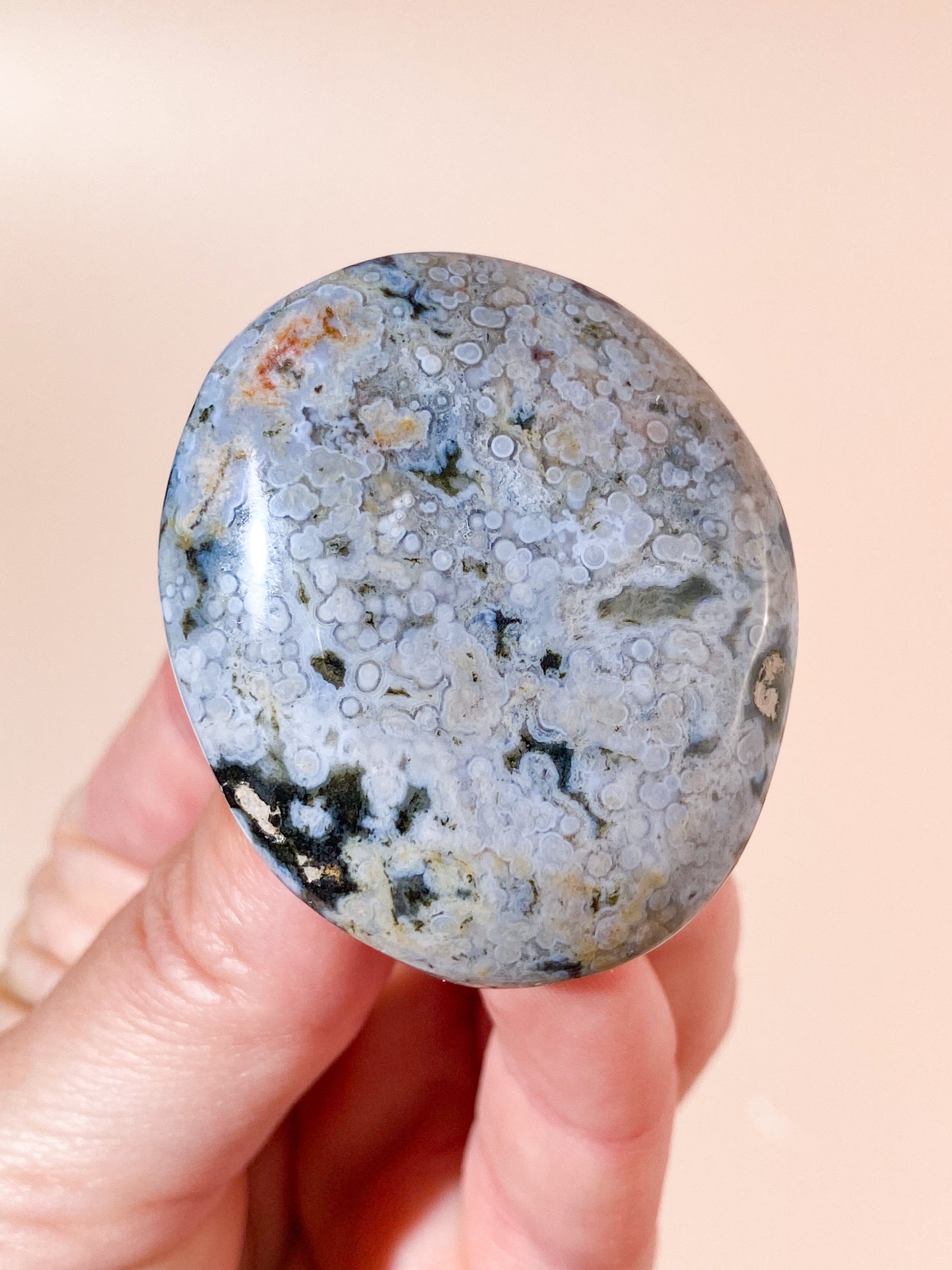 Orbicular Ocean Jaspis Palmstone (Nr. 1)