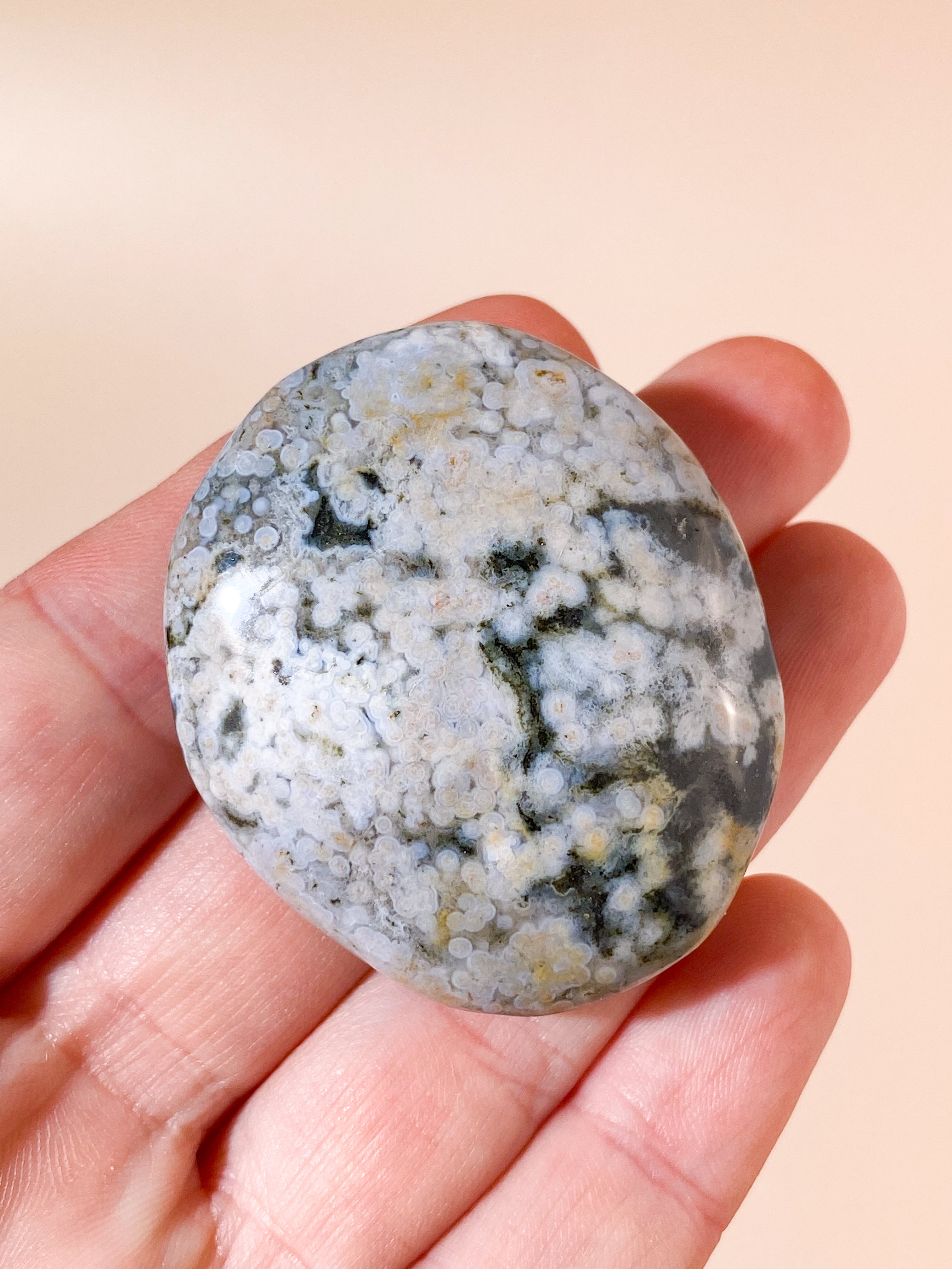 Orbicular Ocean Jaspis Palmstone (Nr. 1)