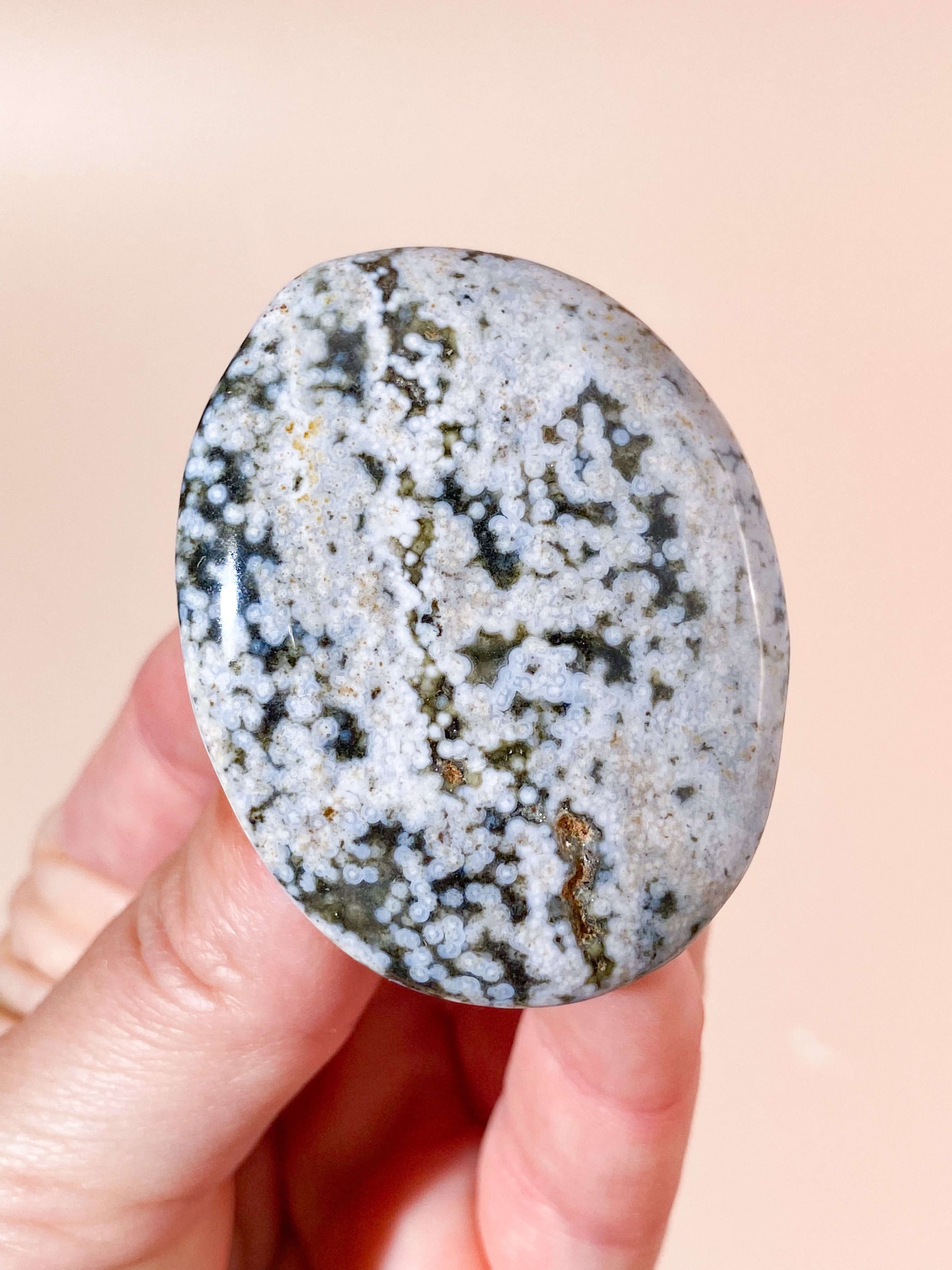 Orbicular Ocean Jaspis Palmstone (Nr. 3)