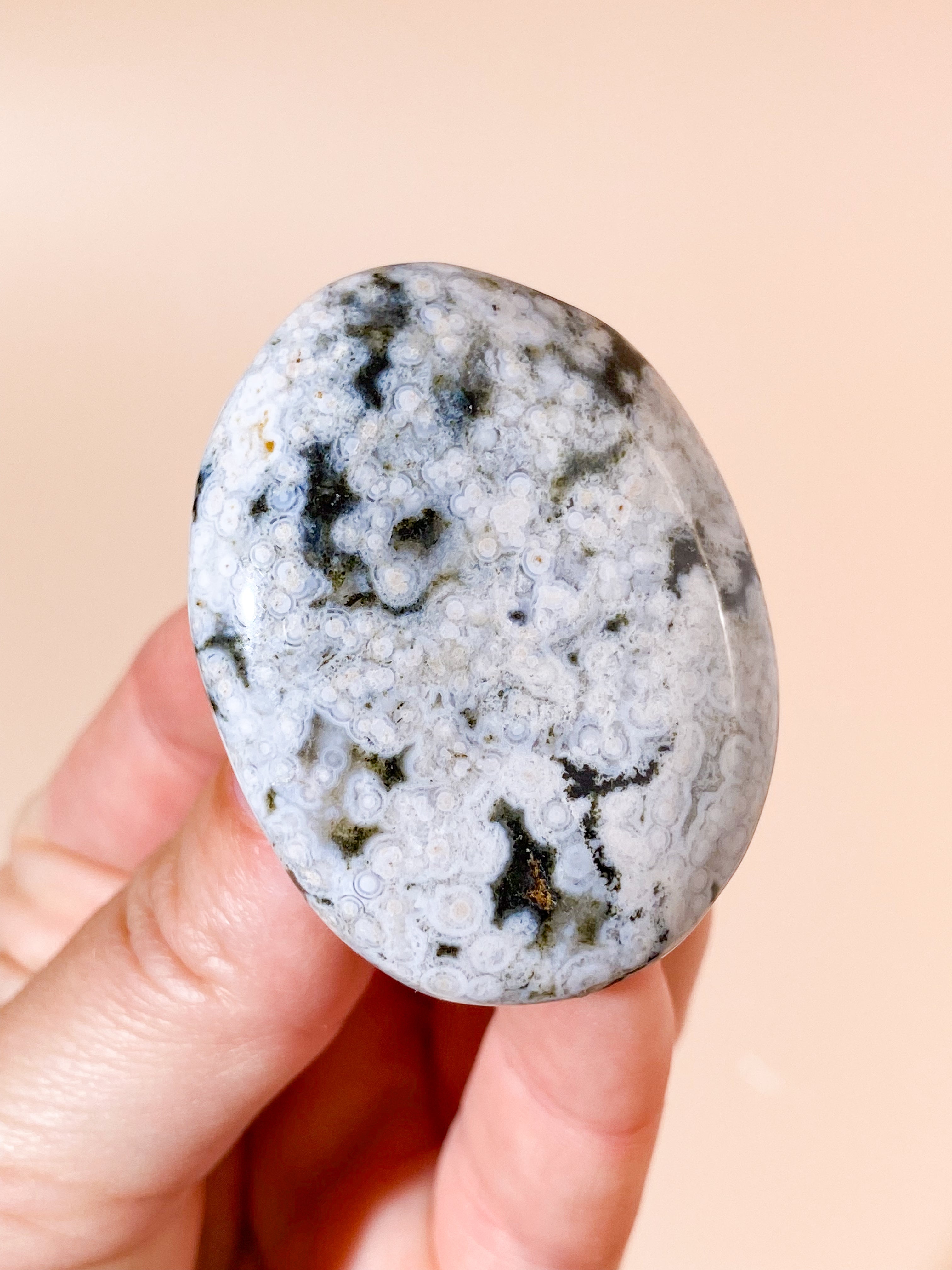 Orbicular Ocean Jaspis Palmstone (Nr. 4)
