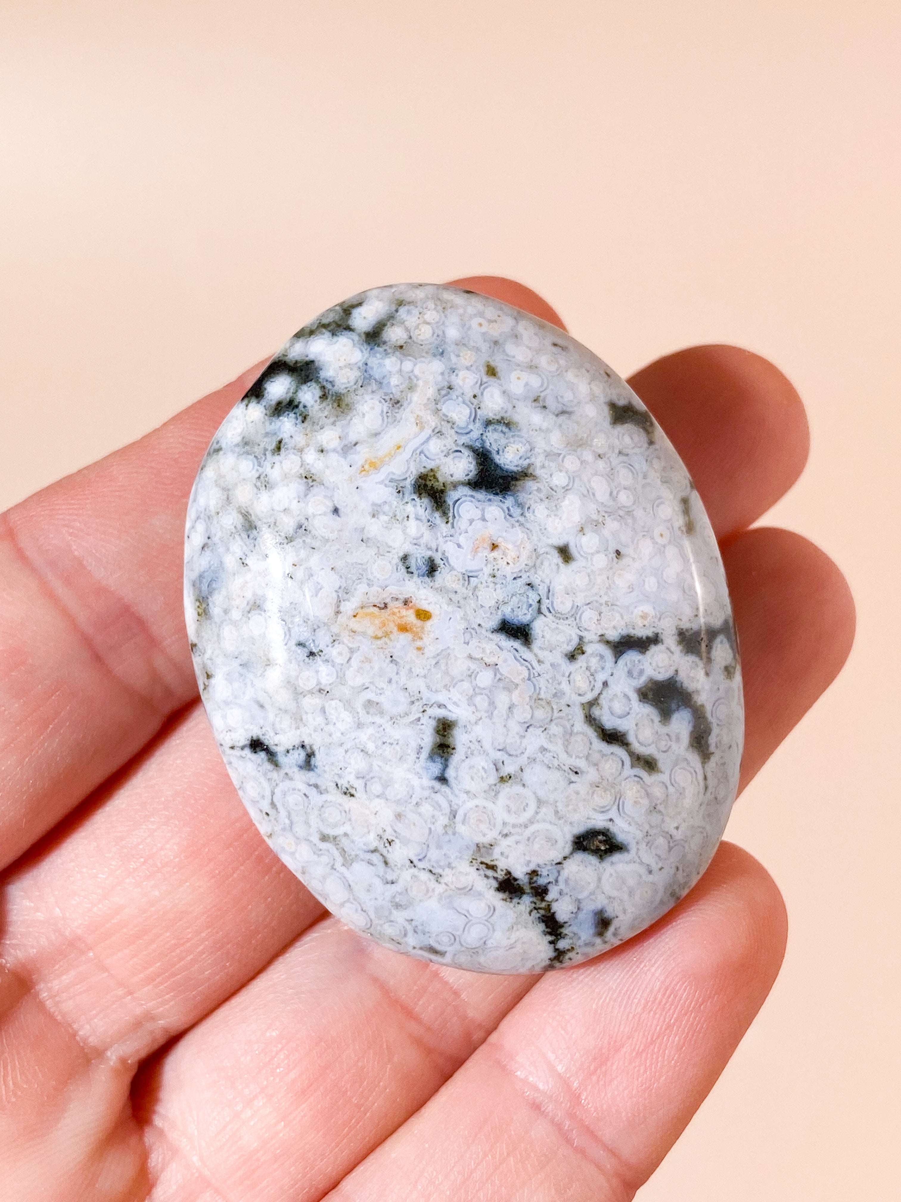 Orbicular Ocean Jaspis Palmstone (Nr. 4)
