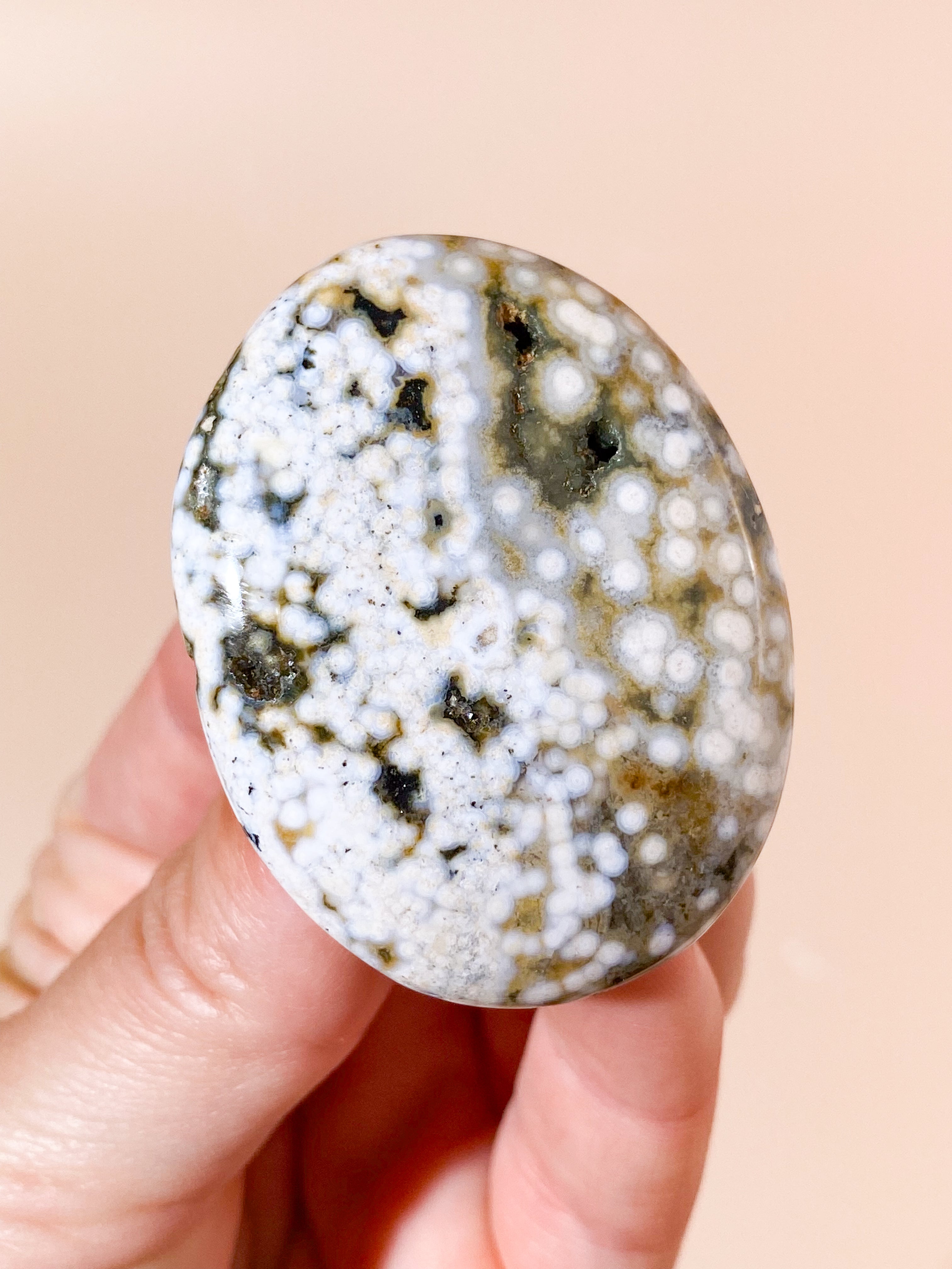 Orbicular Ocean Jaspis Palmstone (Nr. 9)