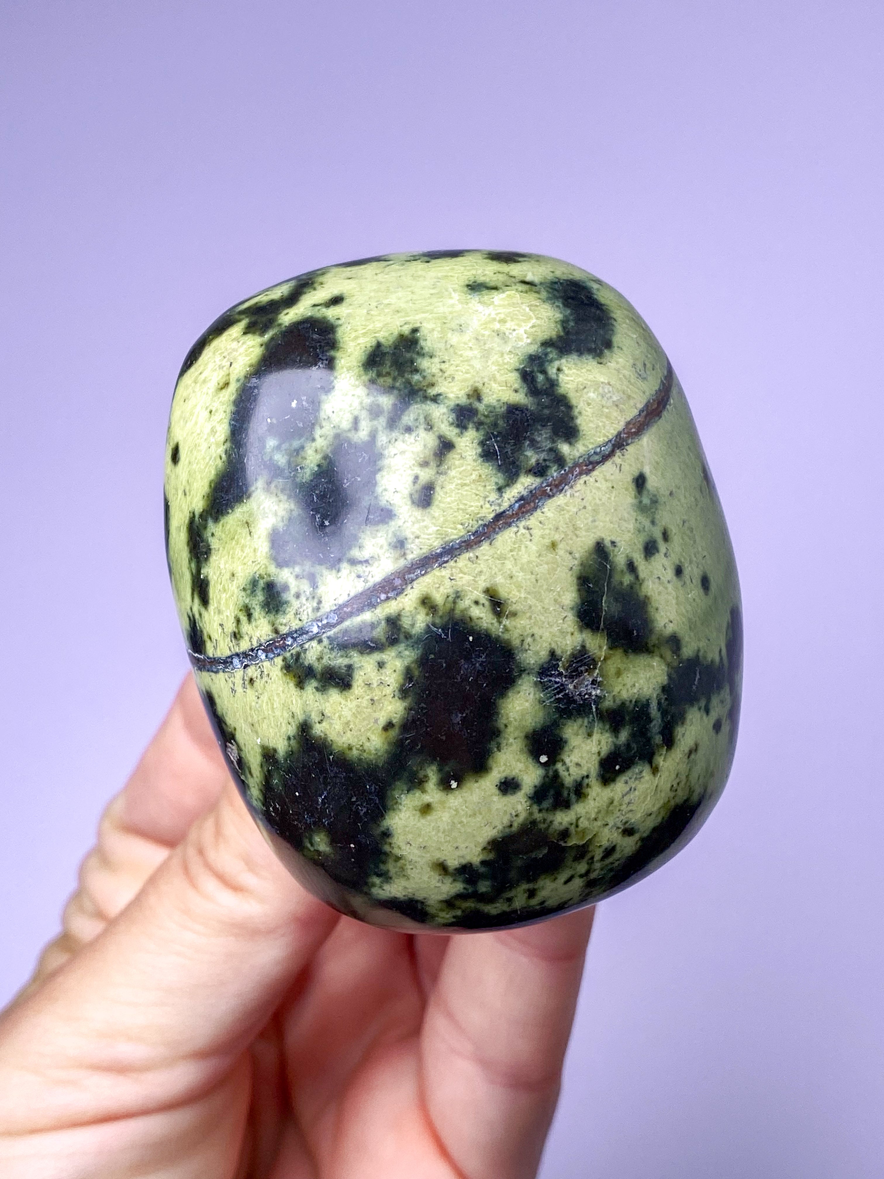 Leopard Serpentin Palmstone (Nr. 14)