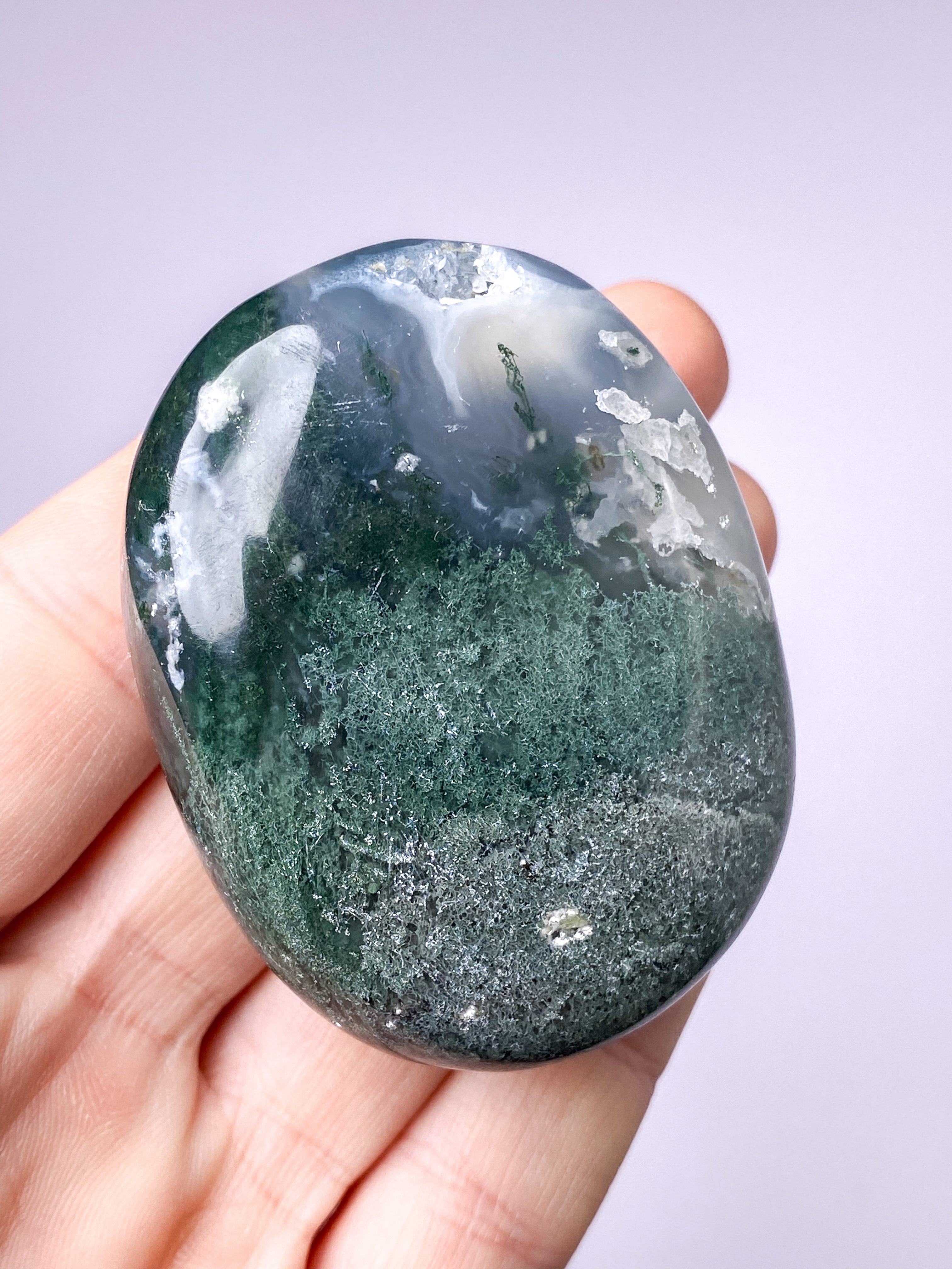 Mos Agat Palmstone (Nr. 5)