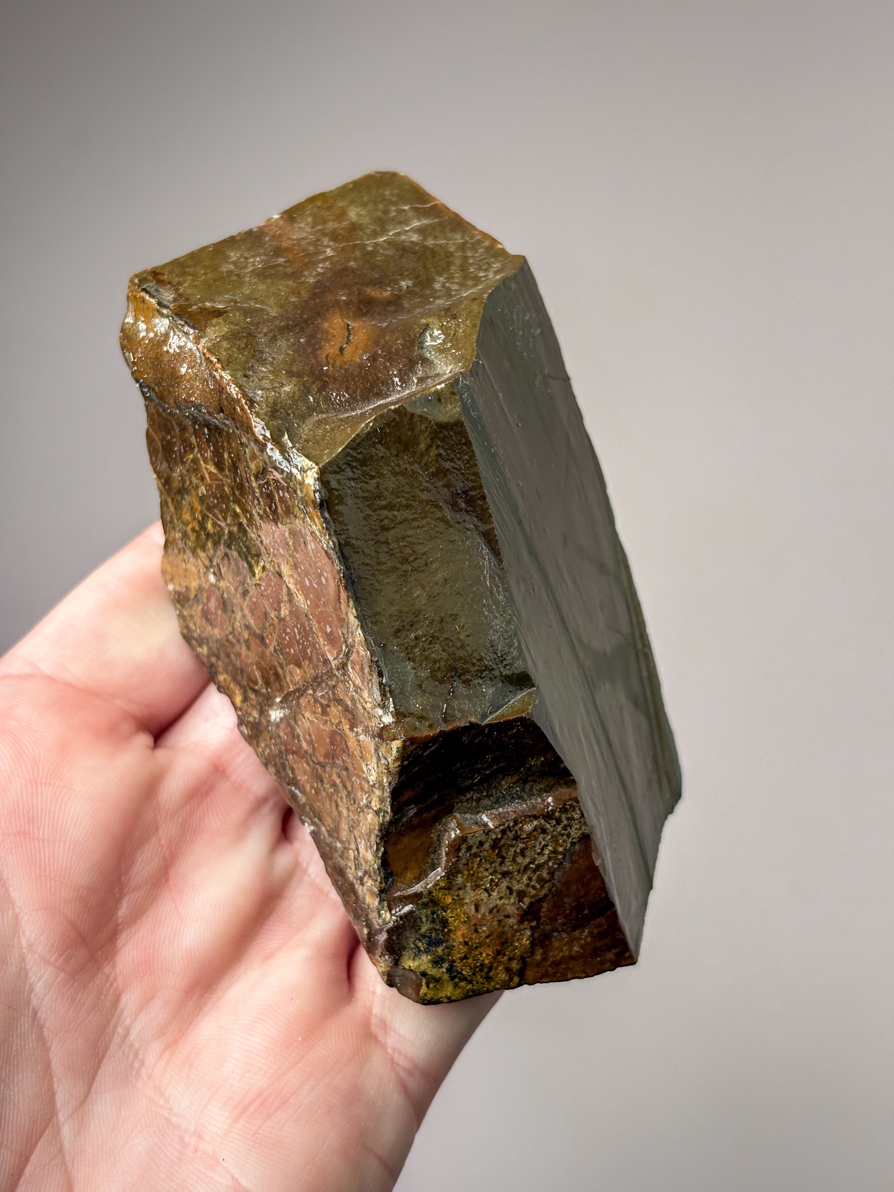 Ammolit (Nr. 9) Eksklusiv Kvalitet