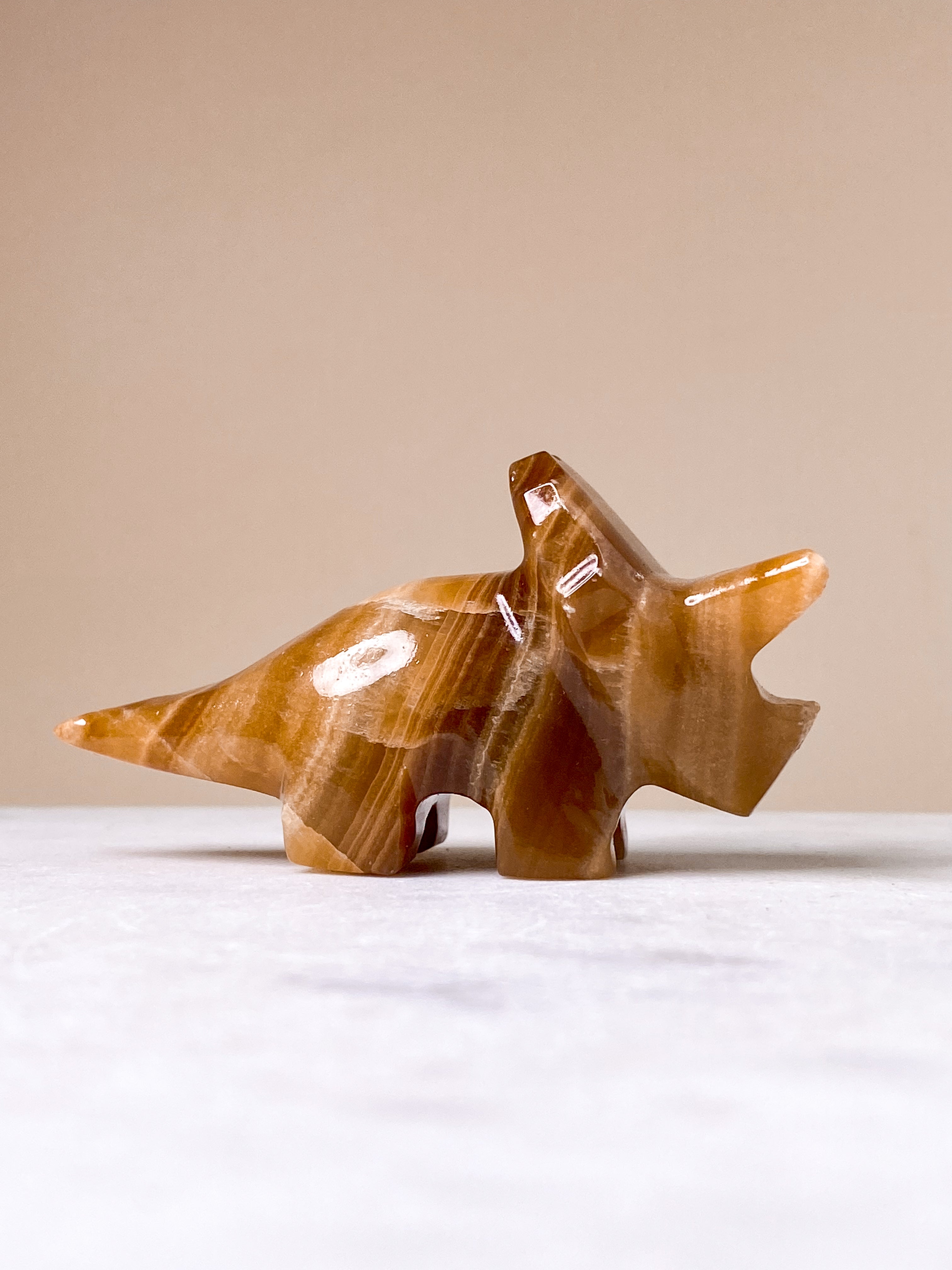 Aragonit Triceratops (Nr. 1)