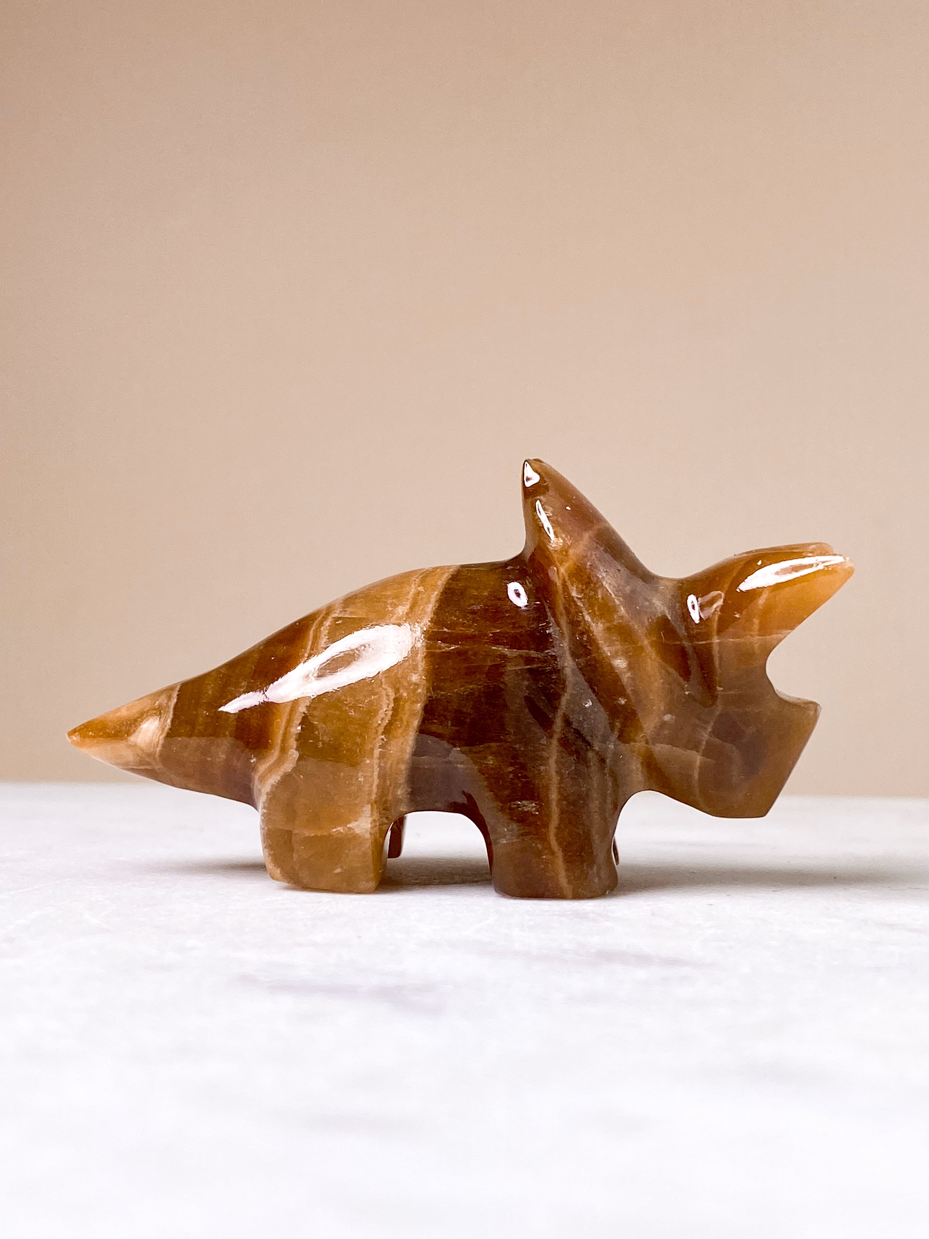 Aragonit Triceratops (Nr. 3)