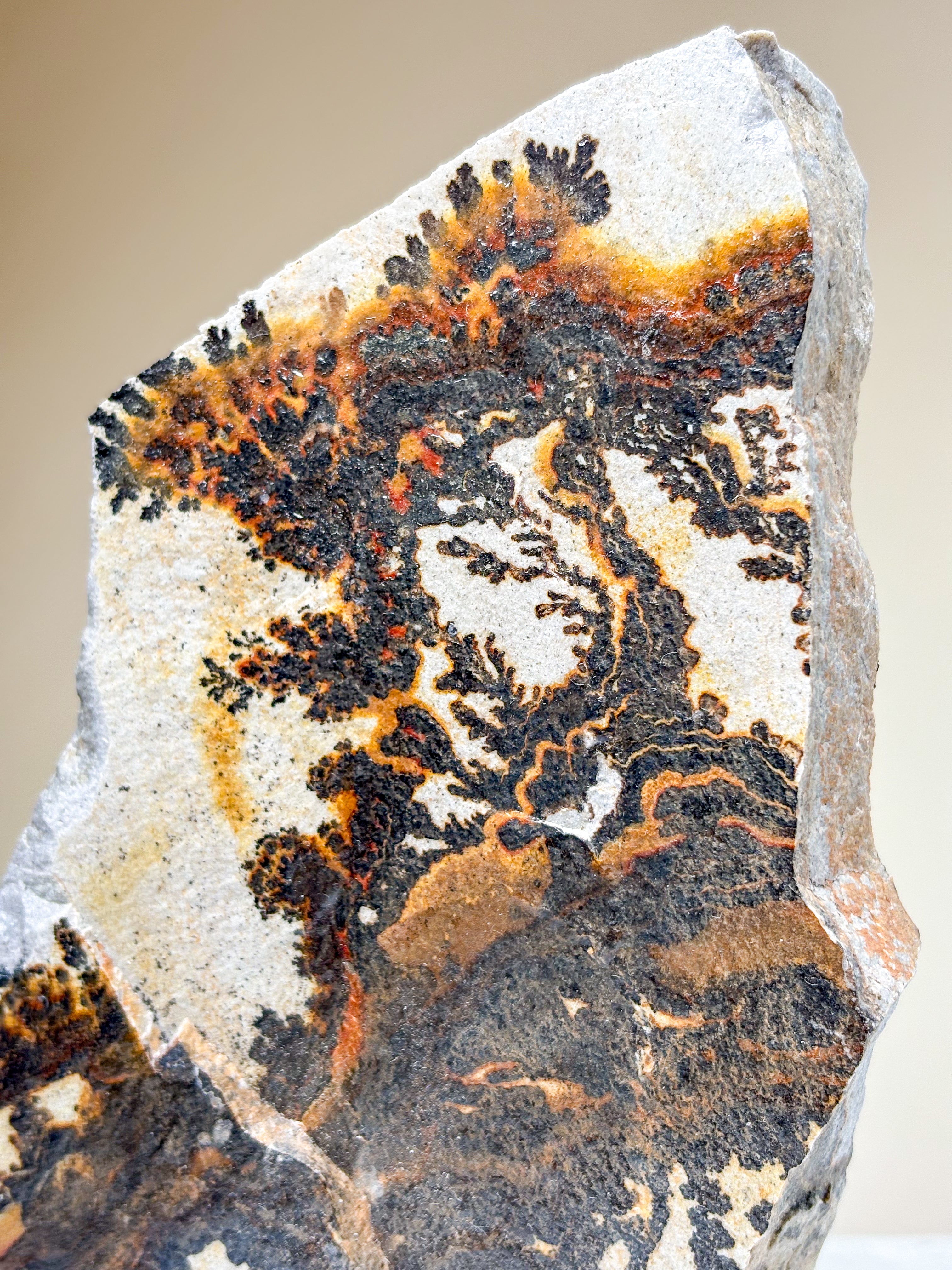 Utah Dendrite Standing (No. 2)