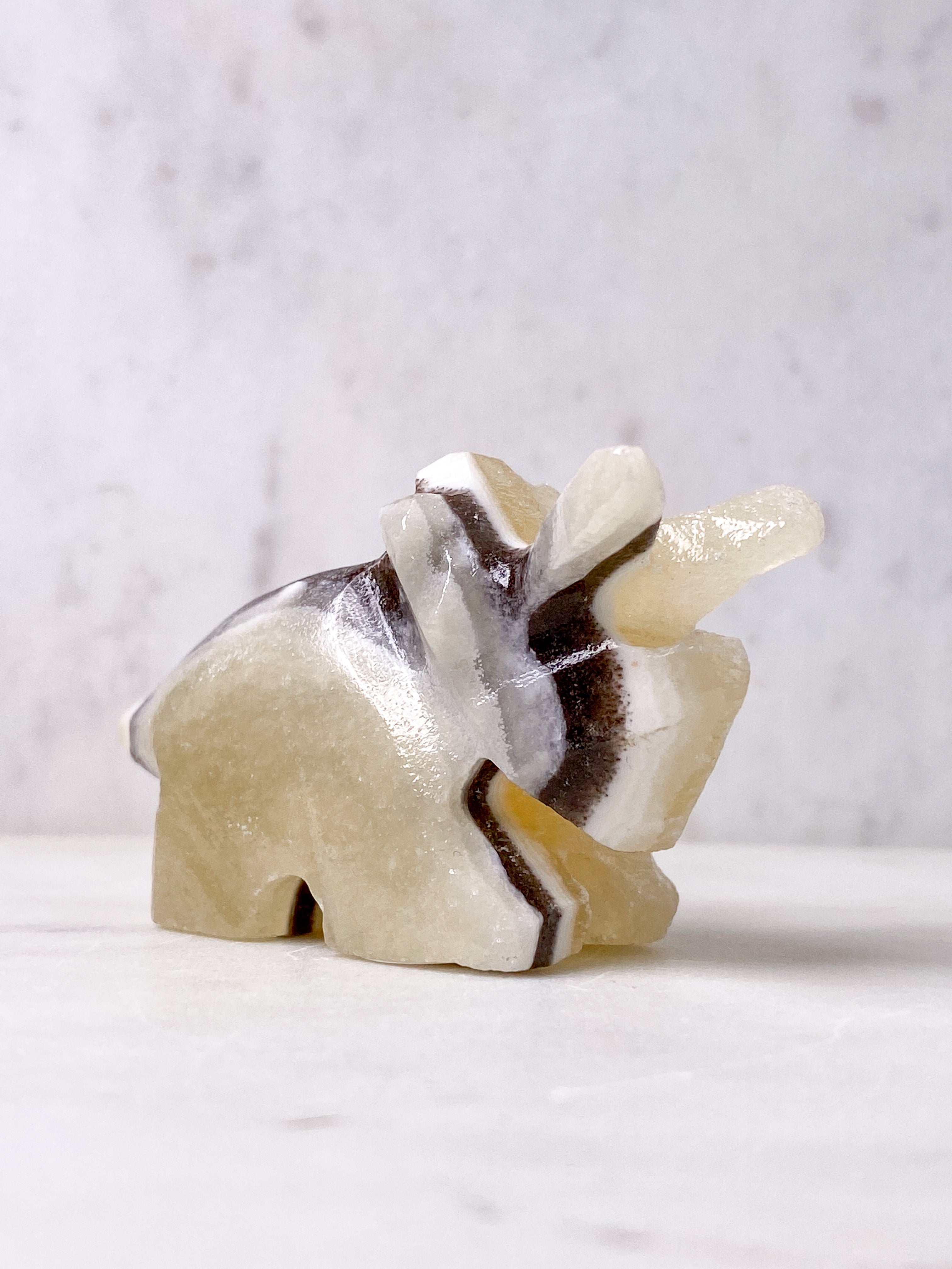 Zebra Calcit Triceratops (Nr. 1)