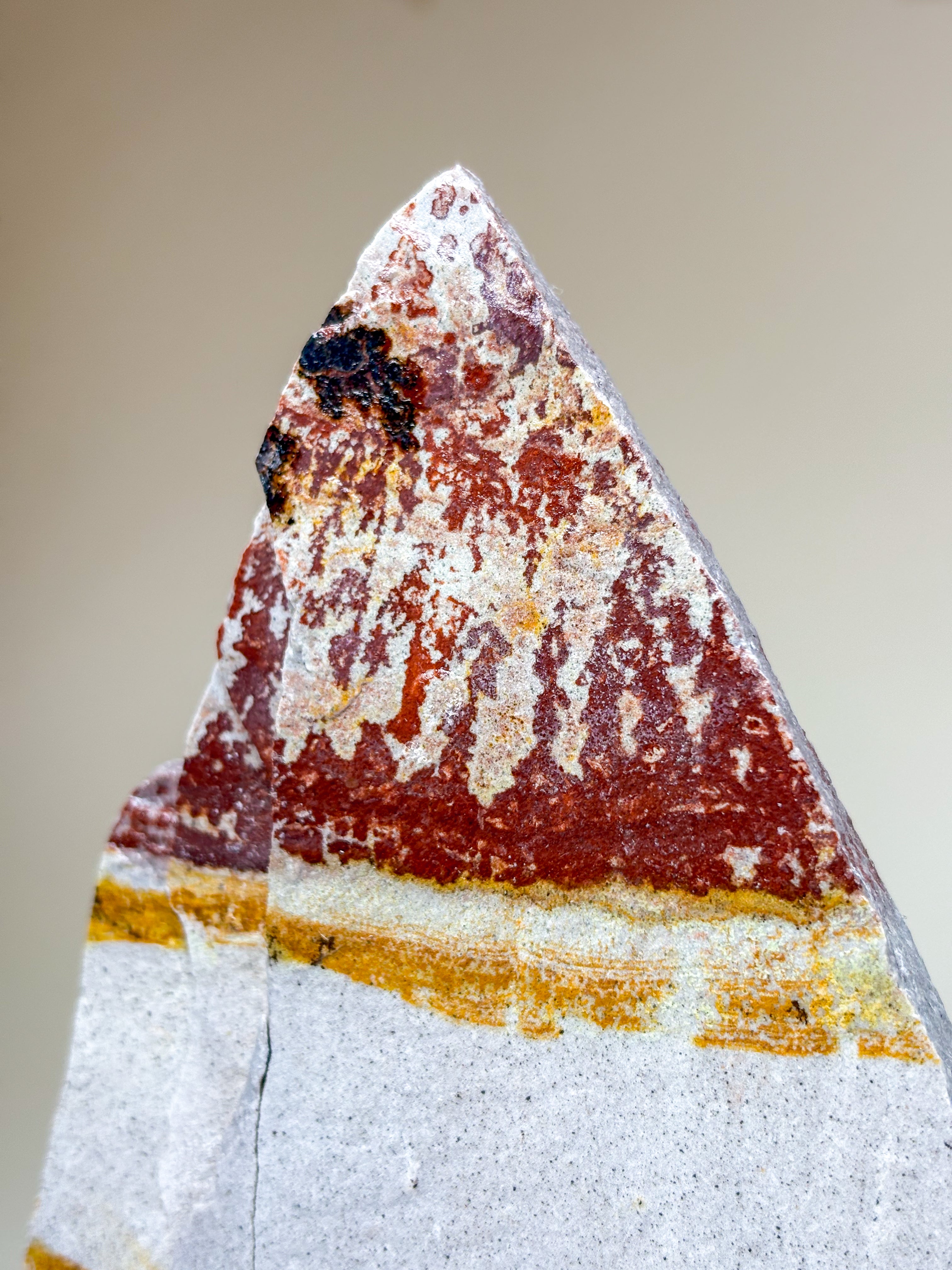 Utah Dendrite Standing (No. 5)