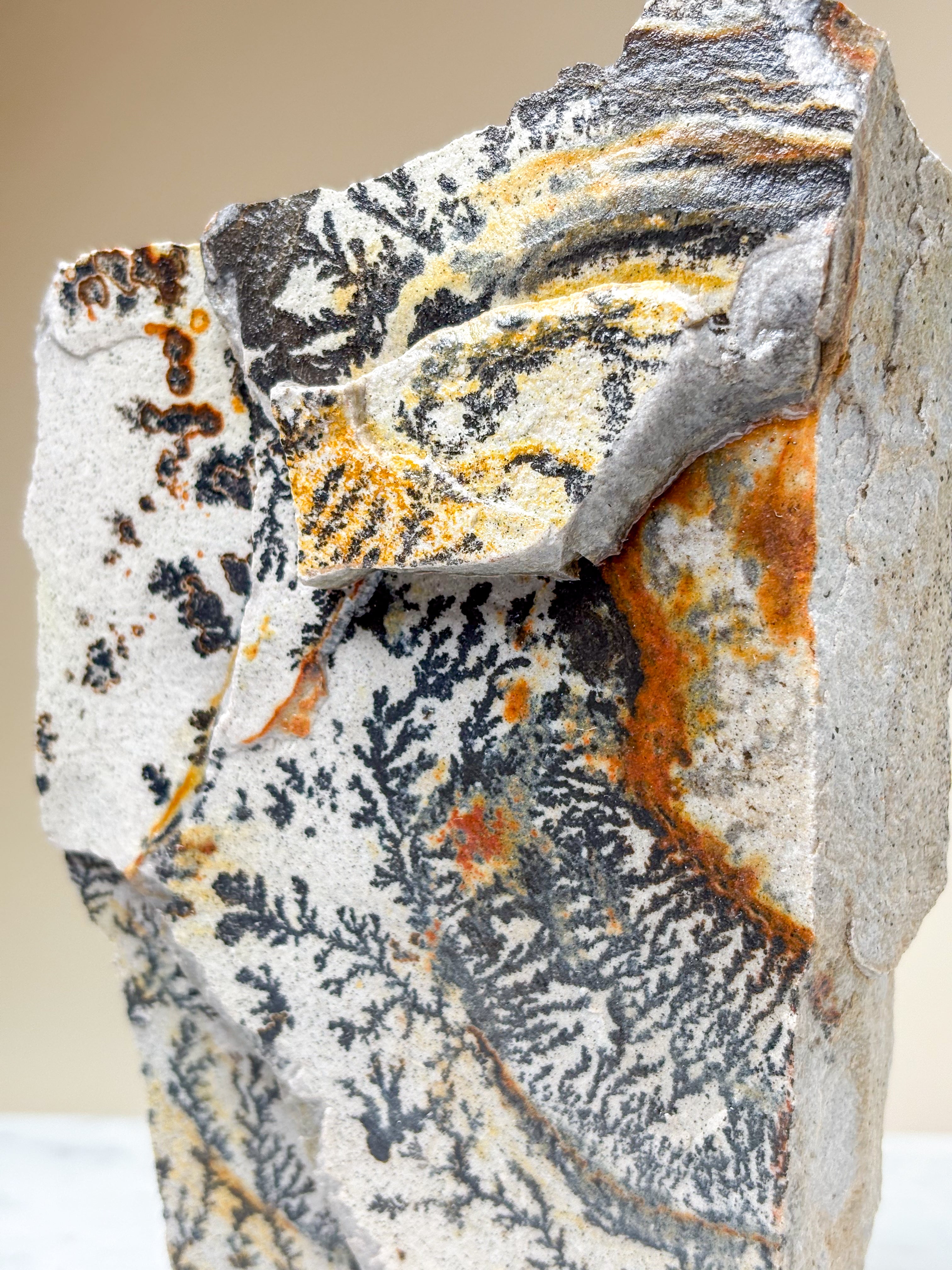 Utah Dendrite Standing (No. 7)