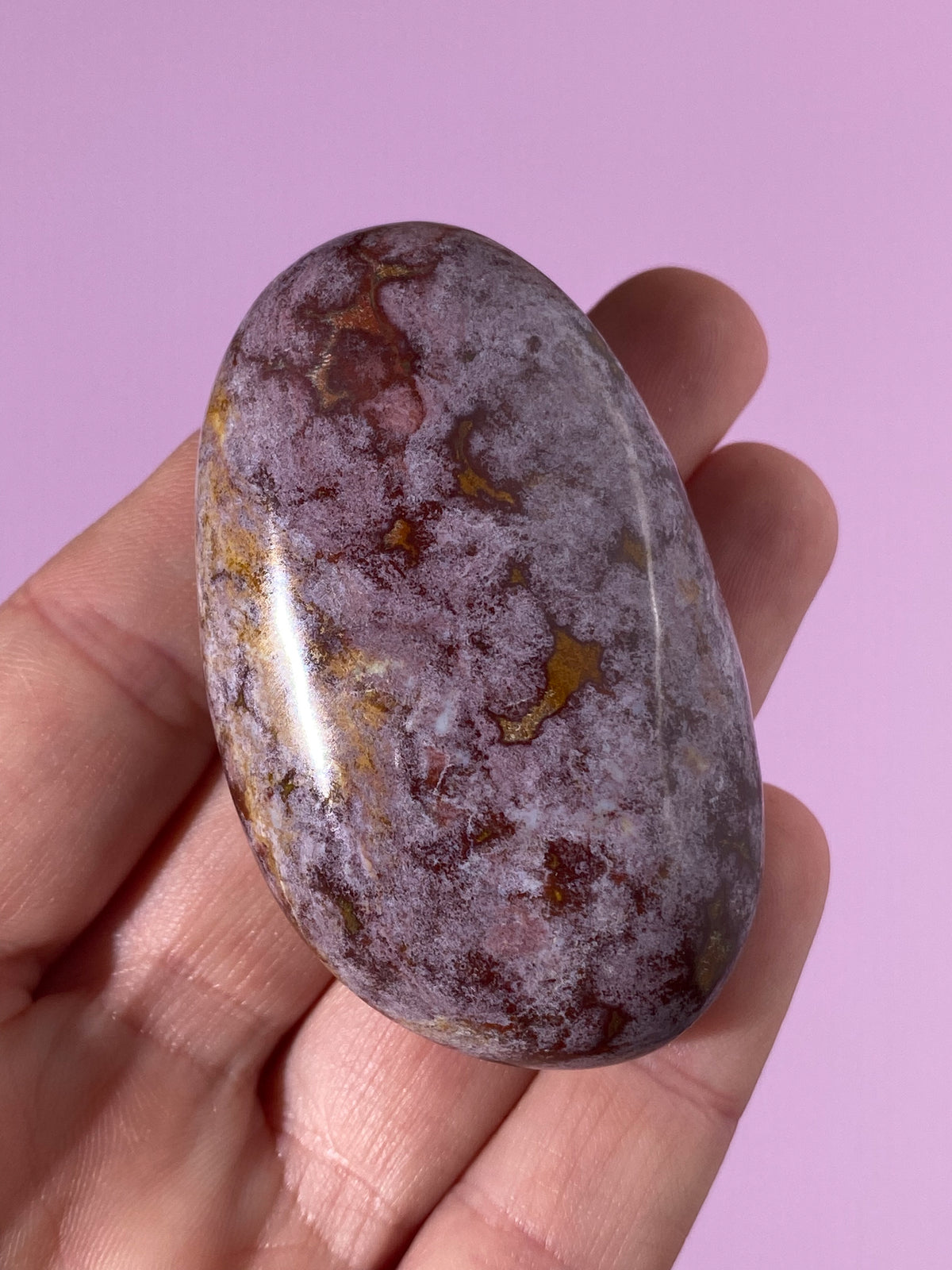 Ocean Jaspis Palmstone (Nr. 13)