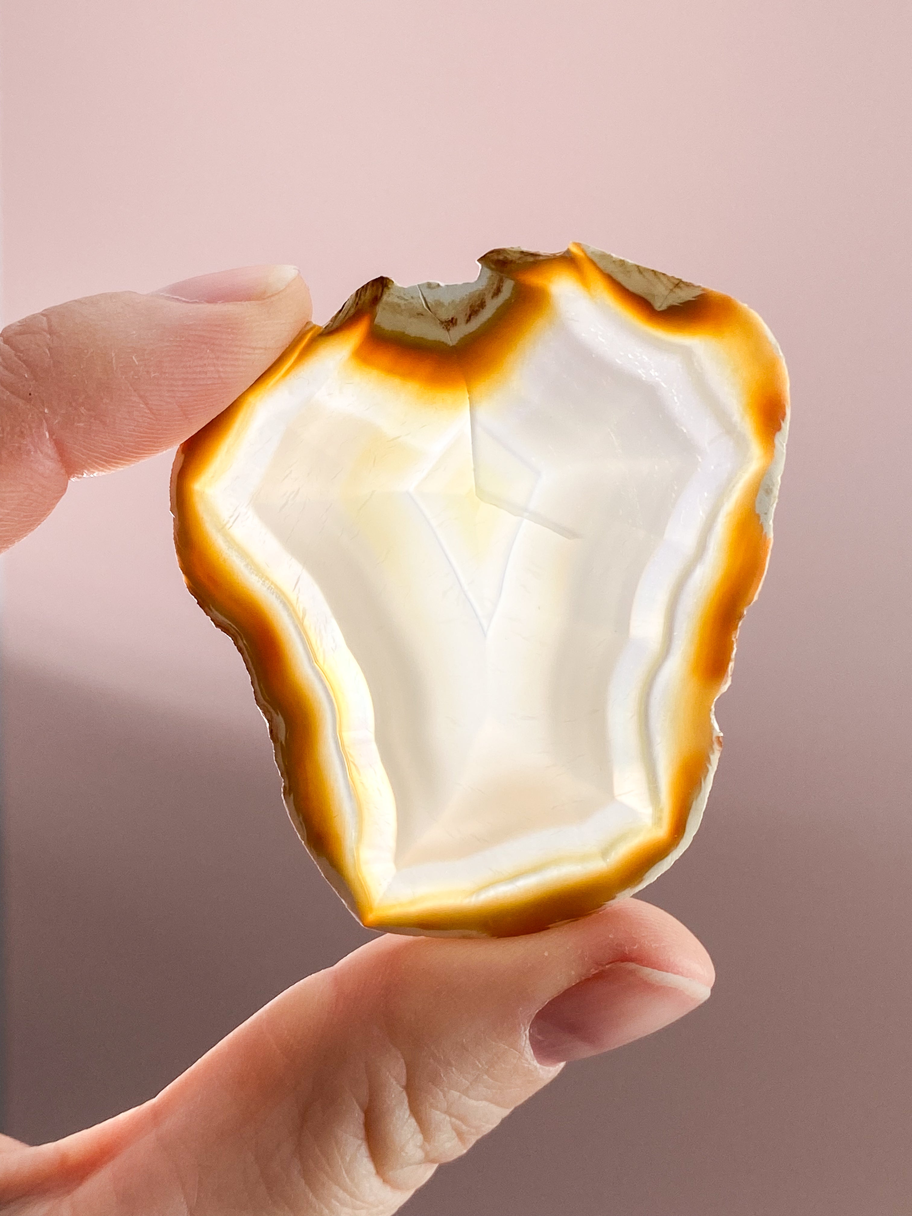 Iris Agatskiva (nr 31)