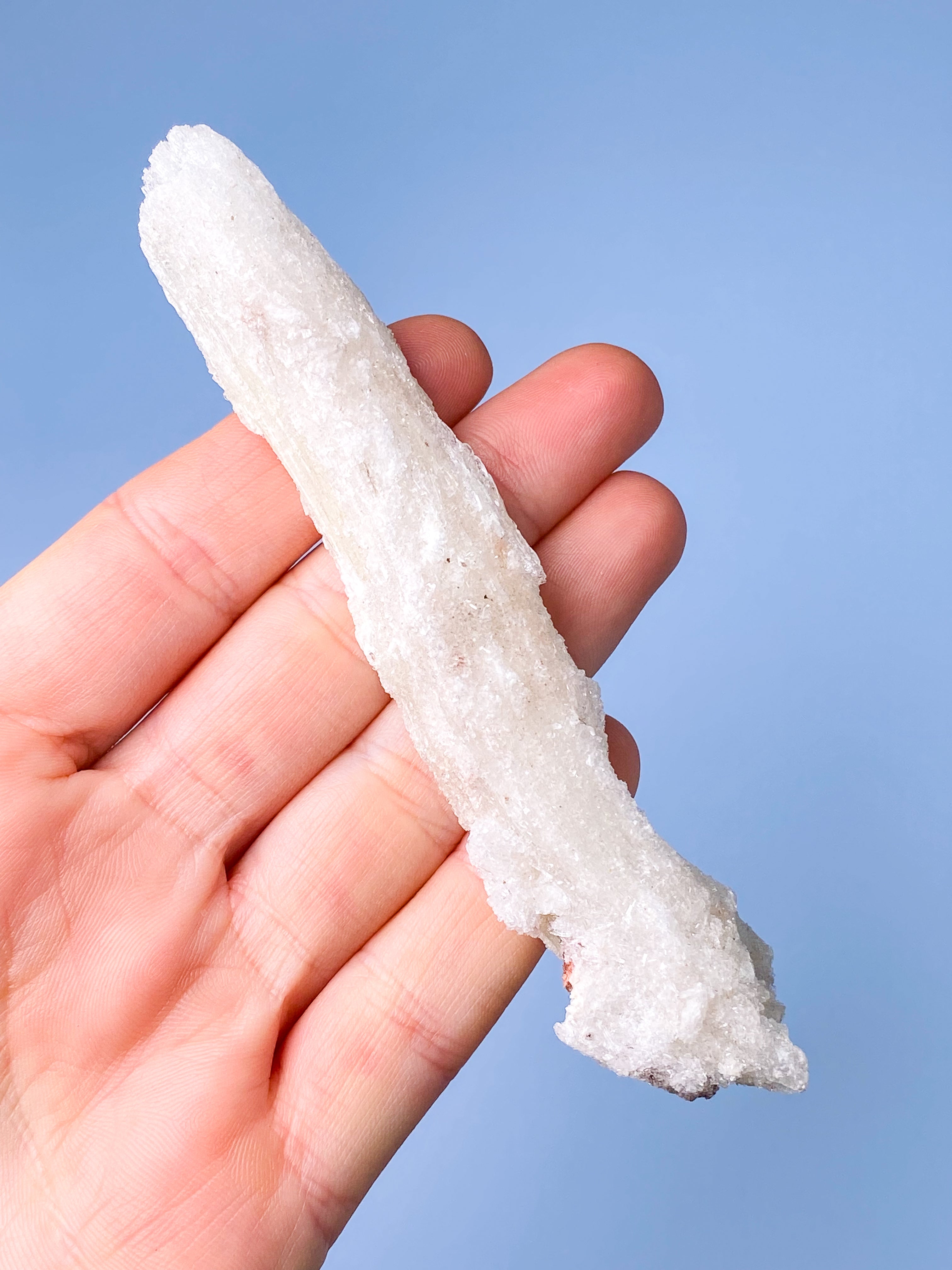 Rams Horn Selenit (Nr. 5) Eksklusiv Kvalitet