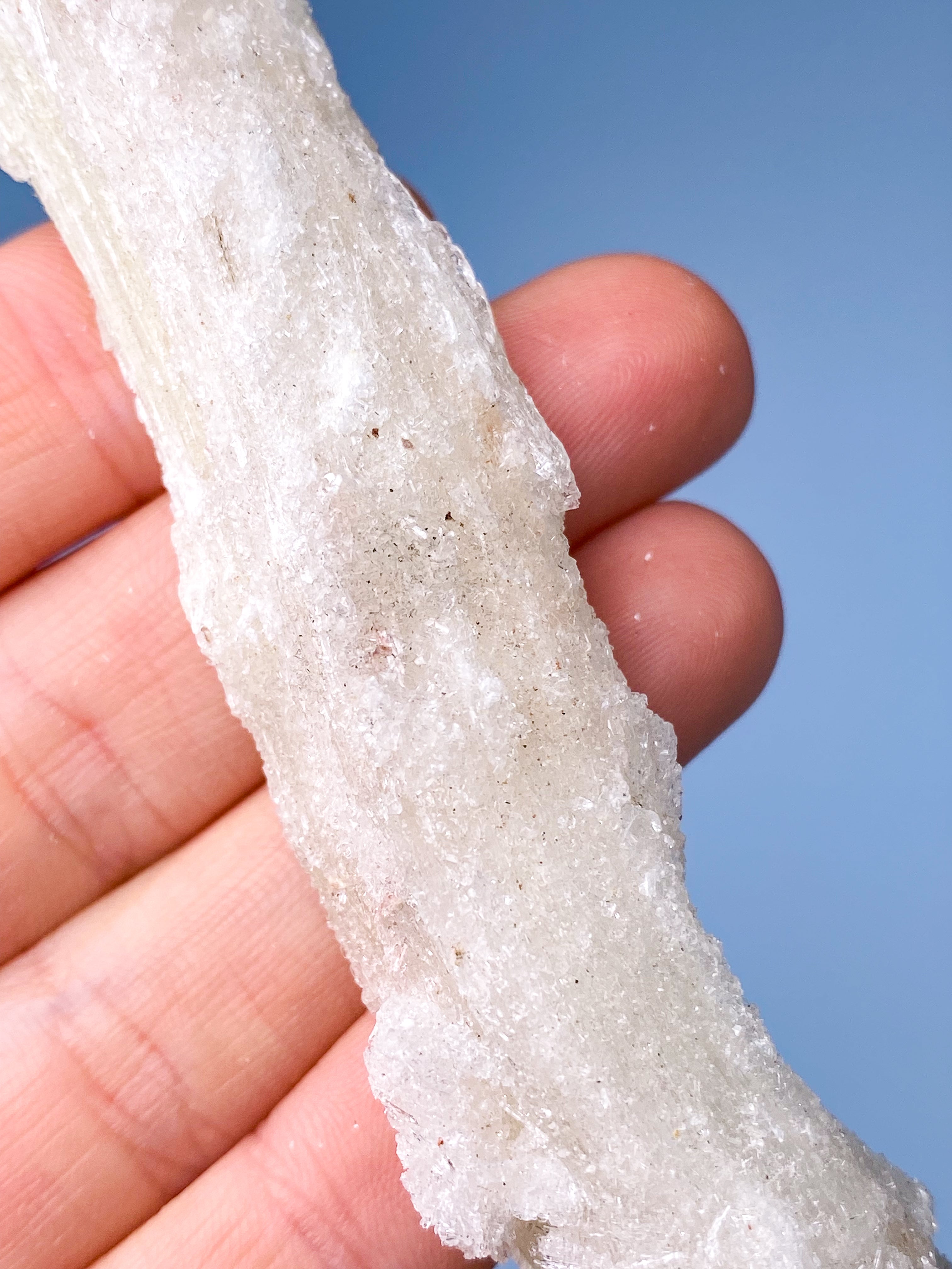 Rams Horn Selenit (Nr. 5) Eksklusiv Kvalitet