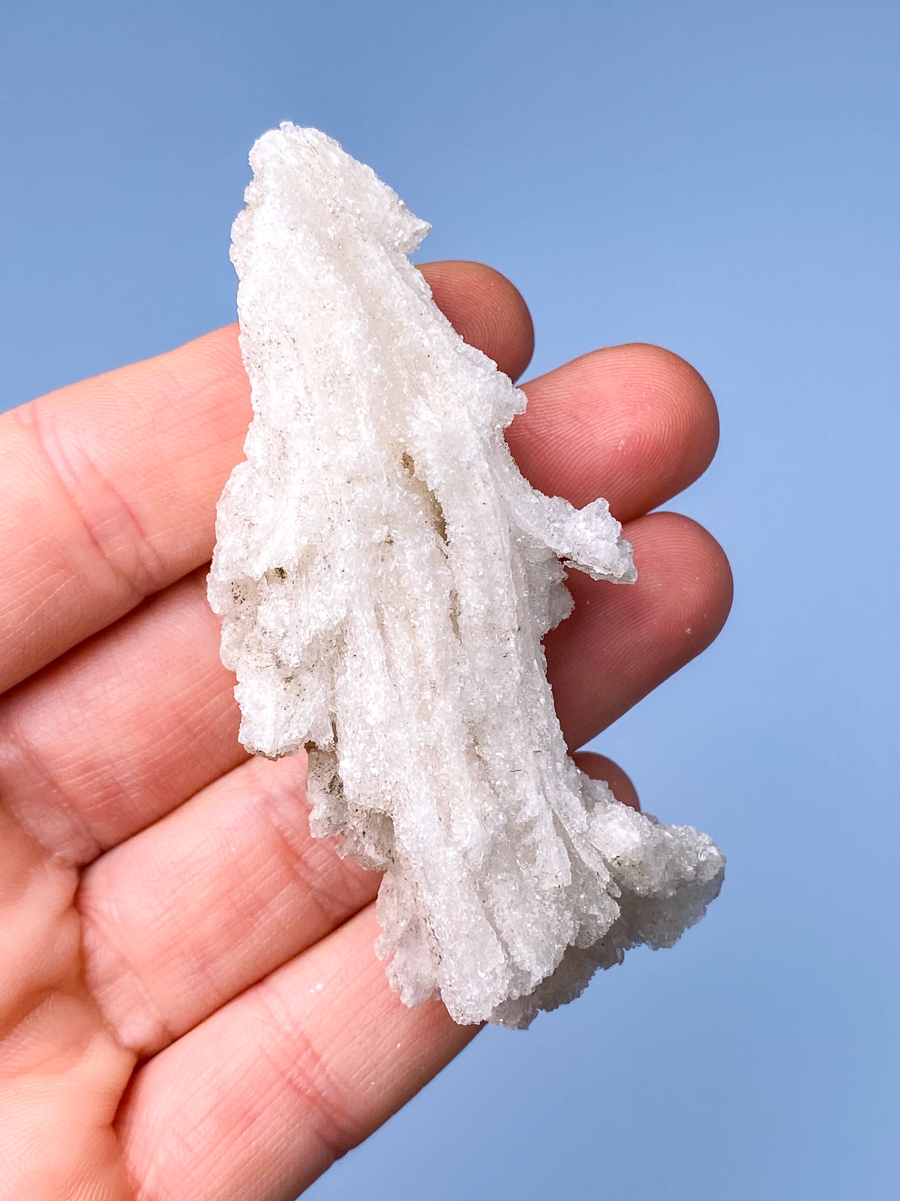 Rams Horn Selenit (Nr. 7) Eksklusiv Kvalitet