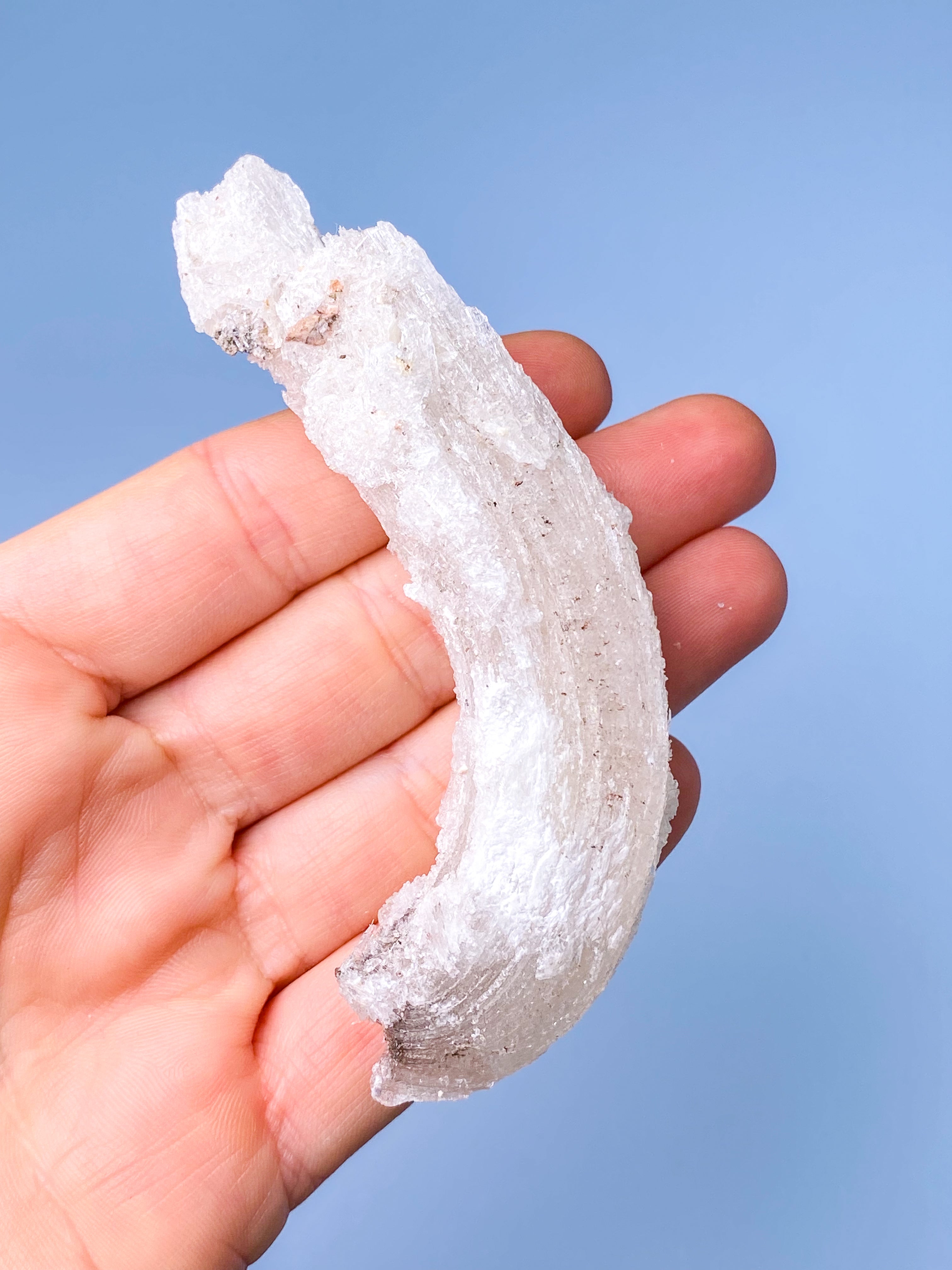 Rams Horn Selenit (Nr. 8) Eksklusiv Kvalitet