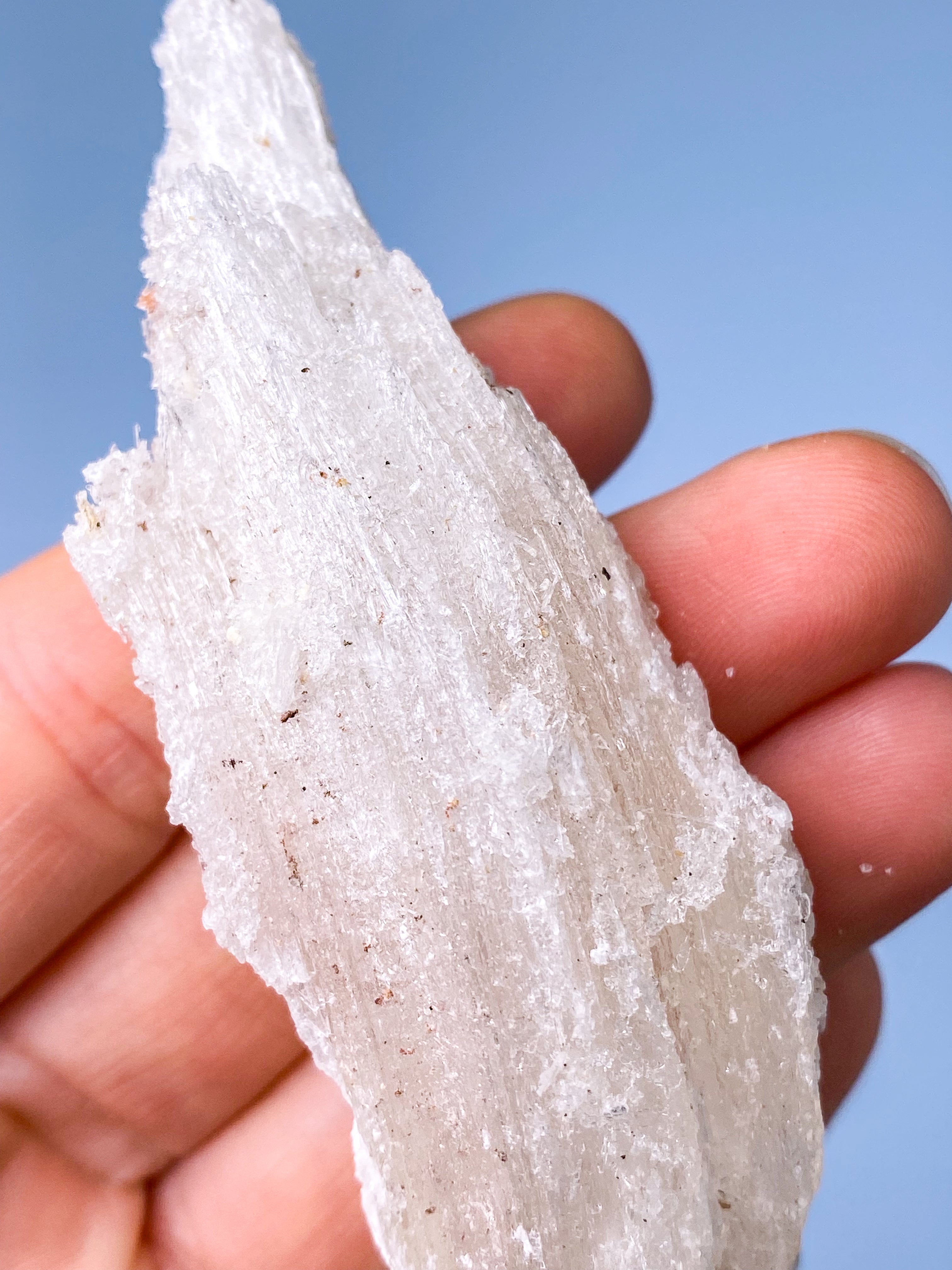 Rams Horn Selenit (Nr. 8) Eksklusiv Kvalitet