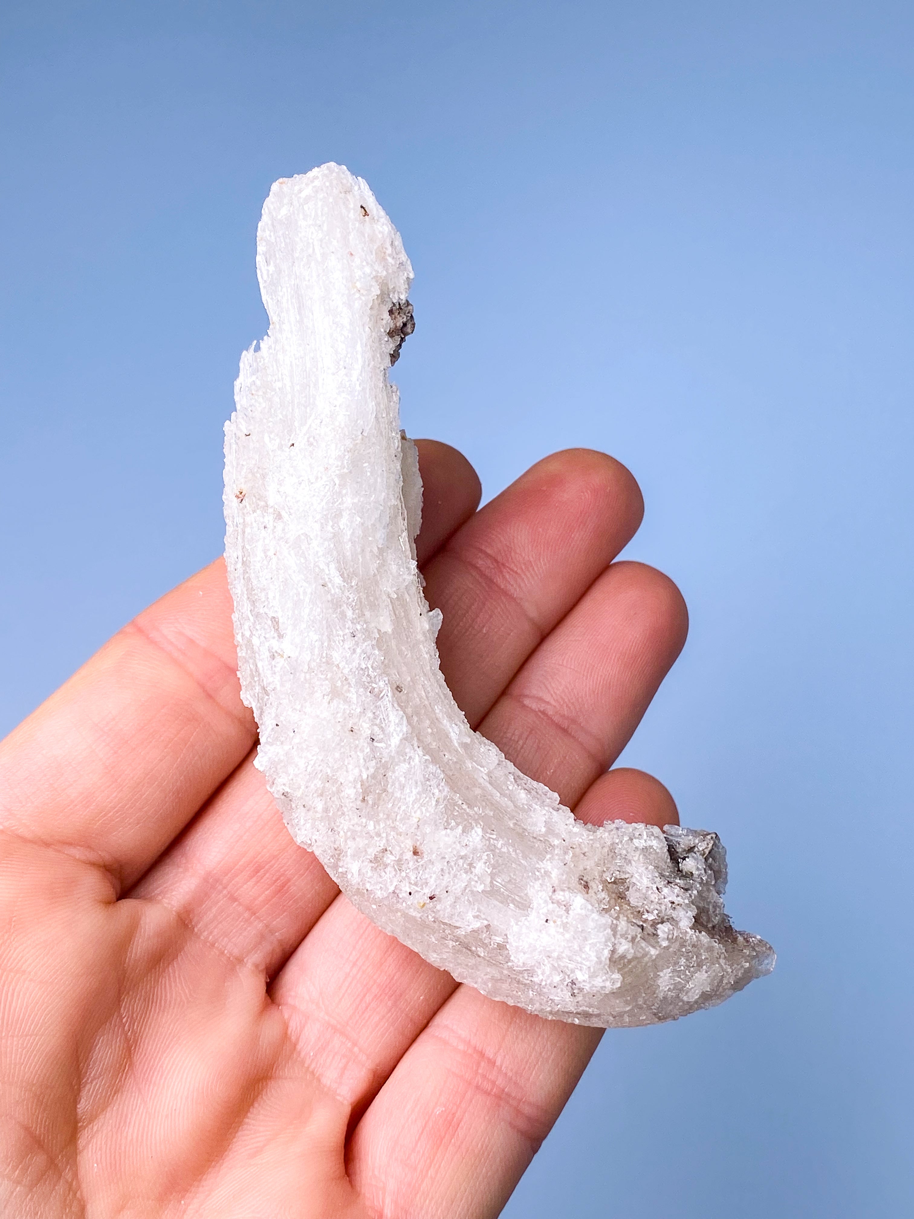 Rams Horn Selenit (Nr. 8) Eksklusiv Kvalitet