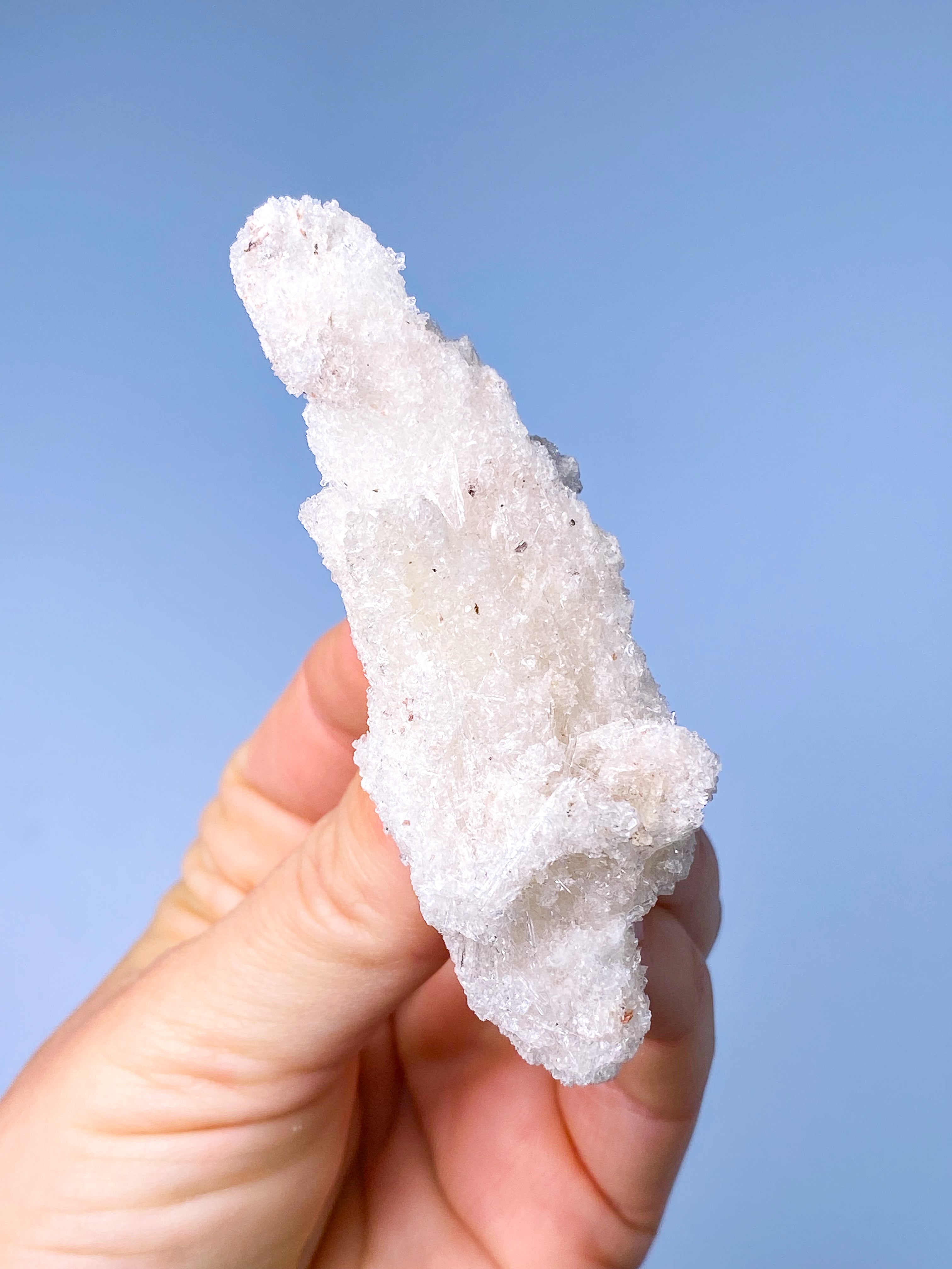 Rams Horn Selenit (Nr. 10) Eksklusiv Kvalitet