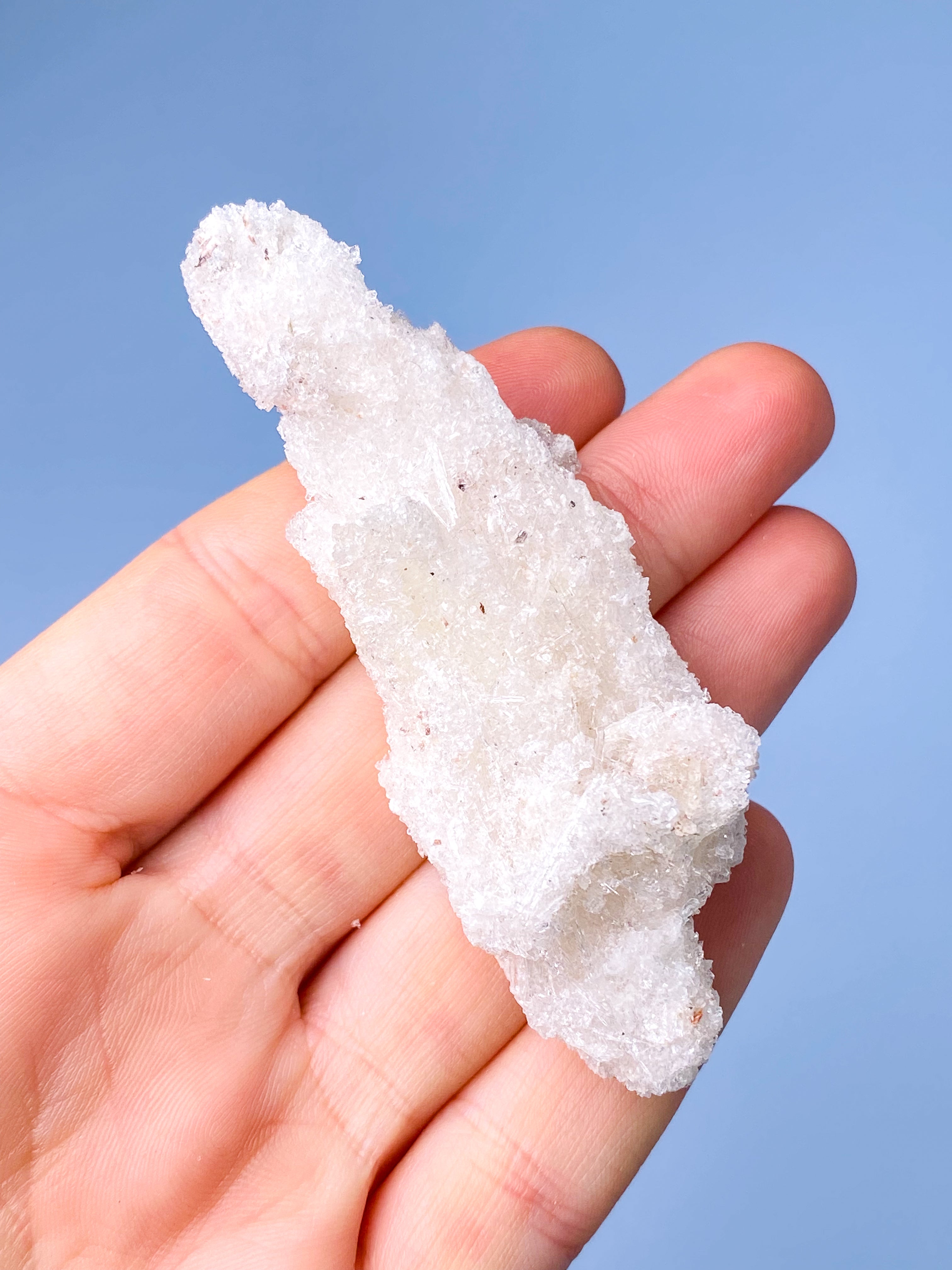 Rams Horn Selenit (Nr. 10) Eksklusiv Kvalitet